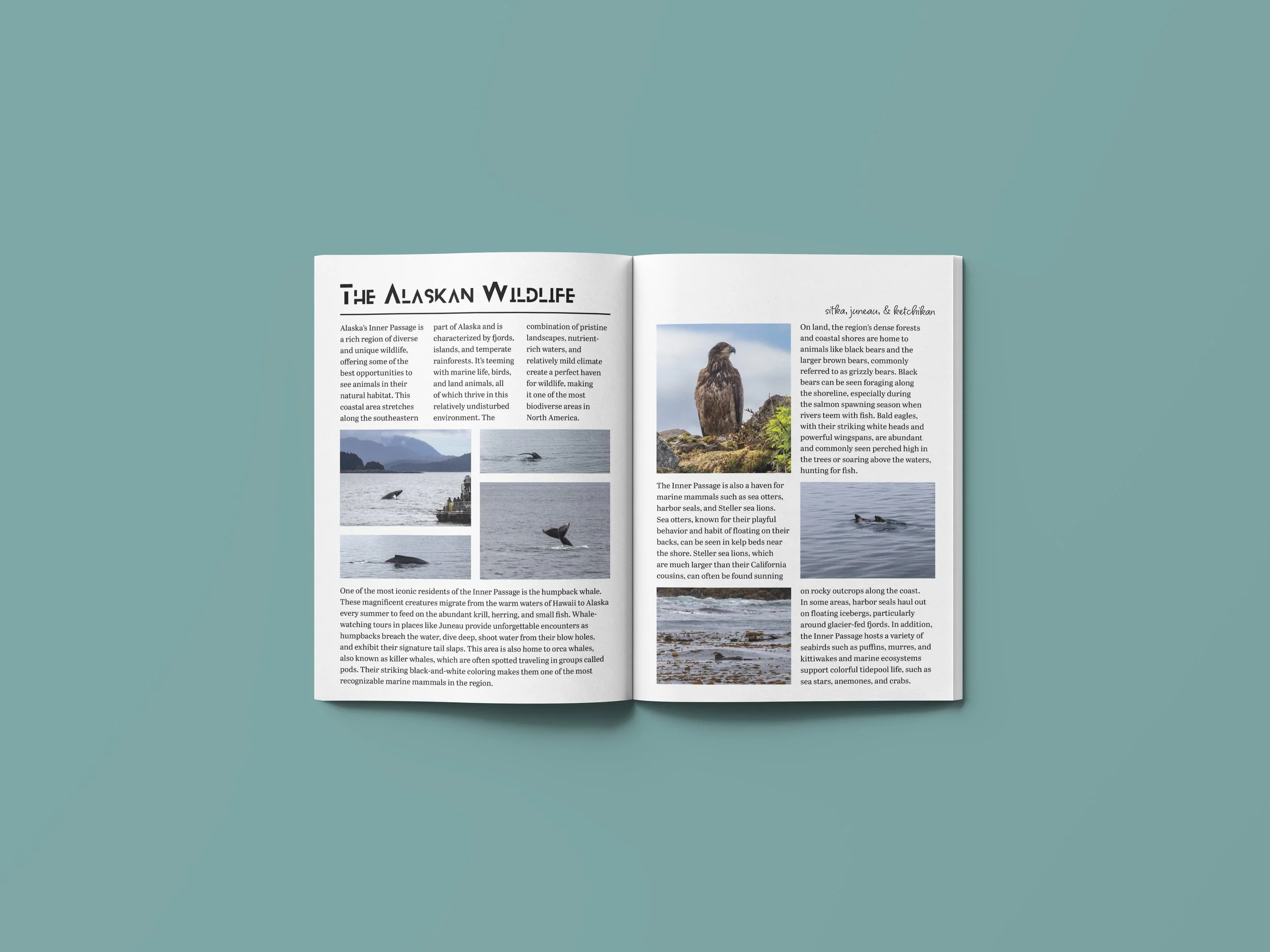 Publication Inner Pages - 2.jpg