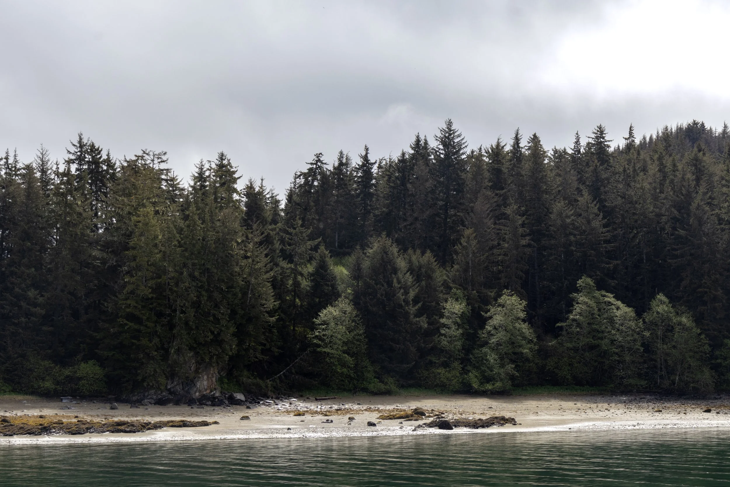 _MG_8160.jpg