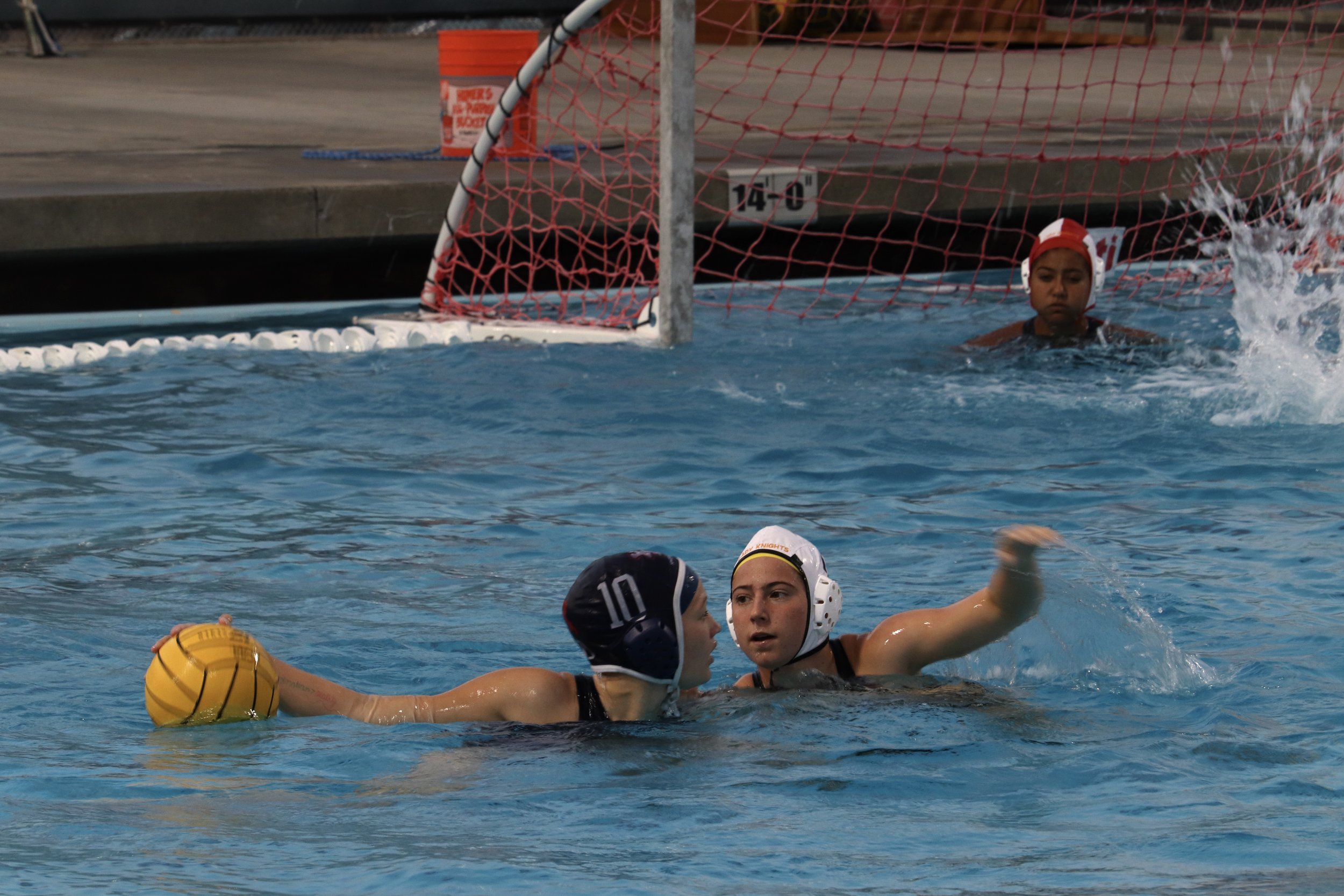 IMG_9689.jpg