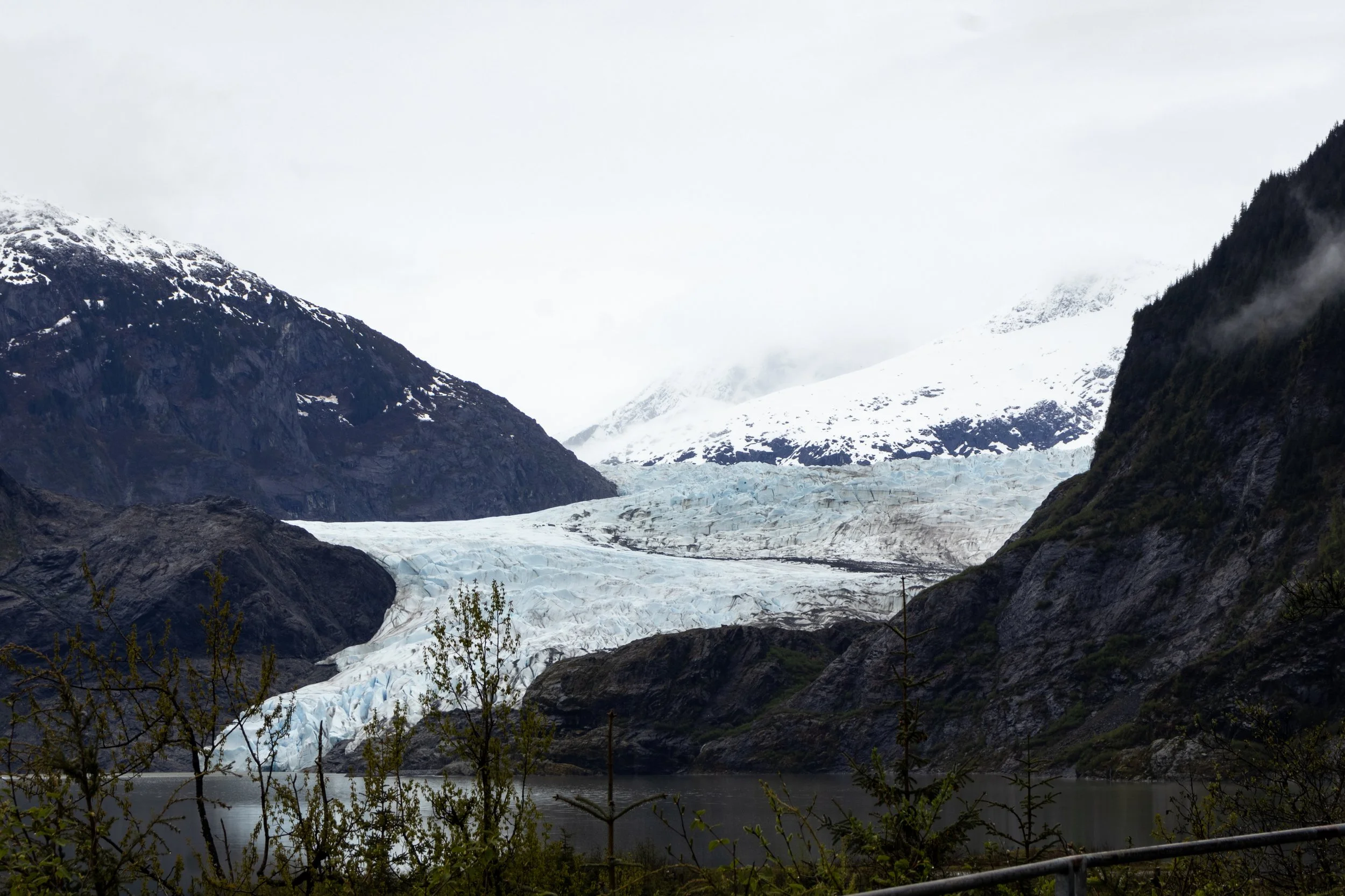 _MG_7763.jpg