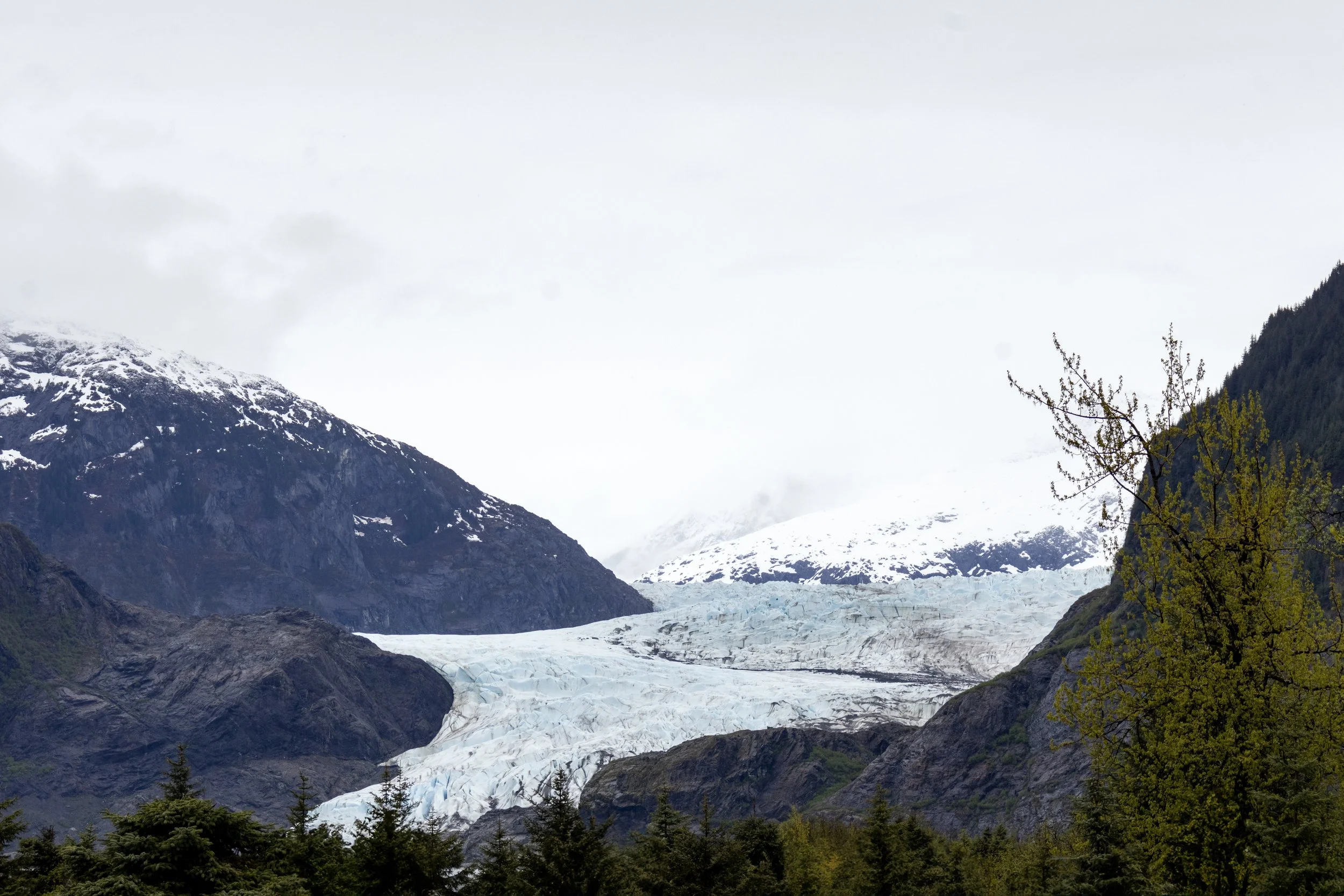 _MG_7704.jpg
