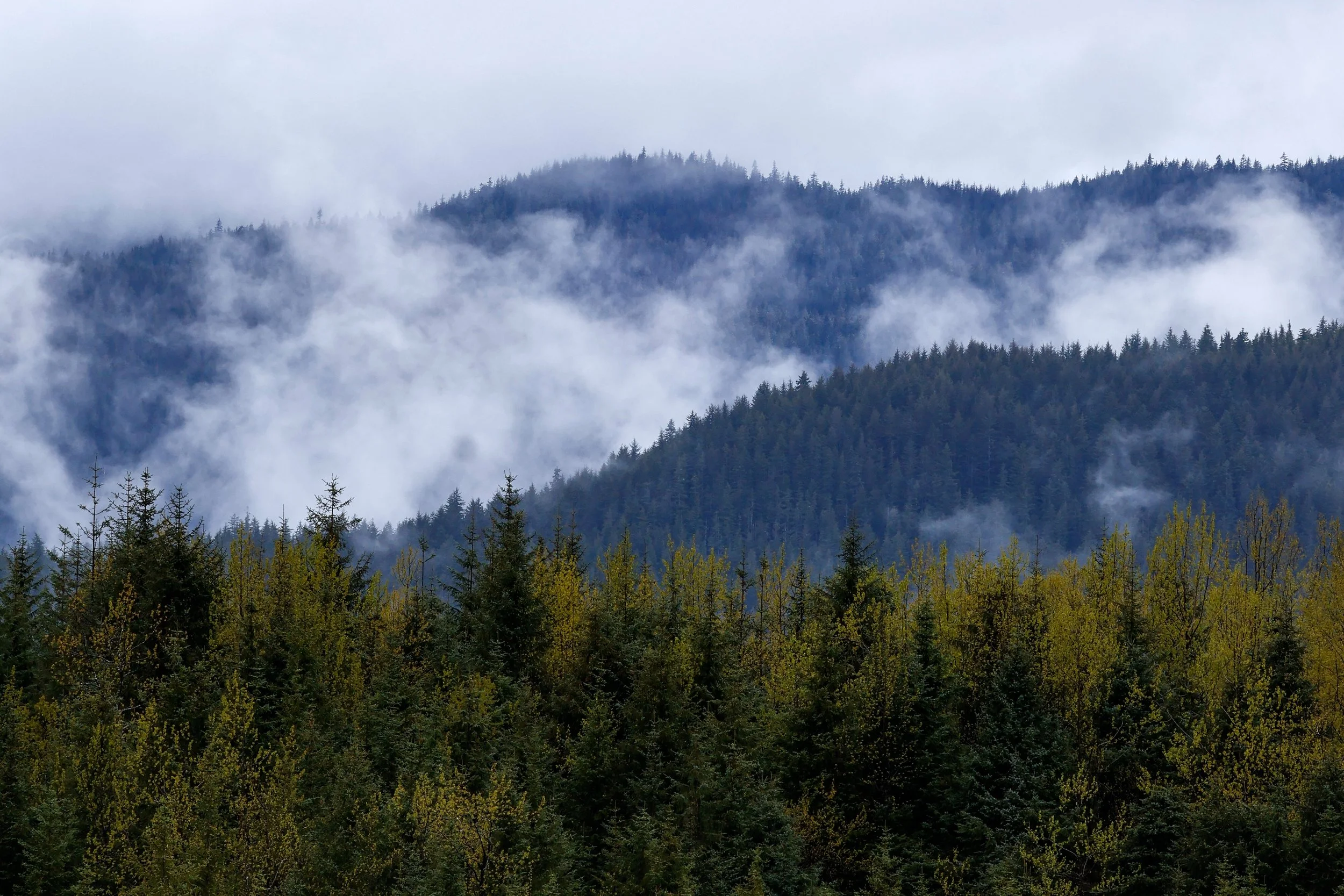 _MG_7756.jpg