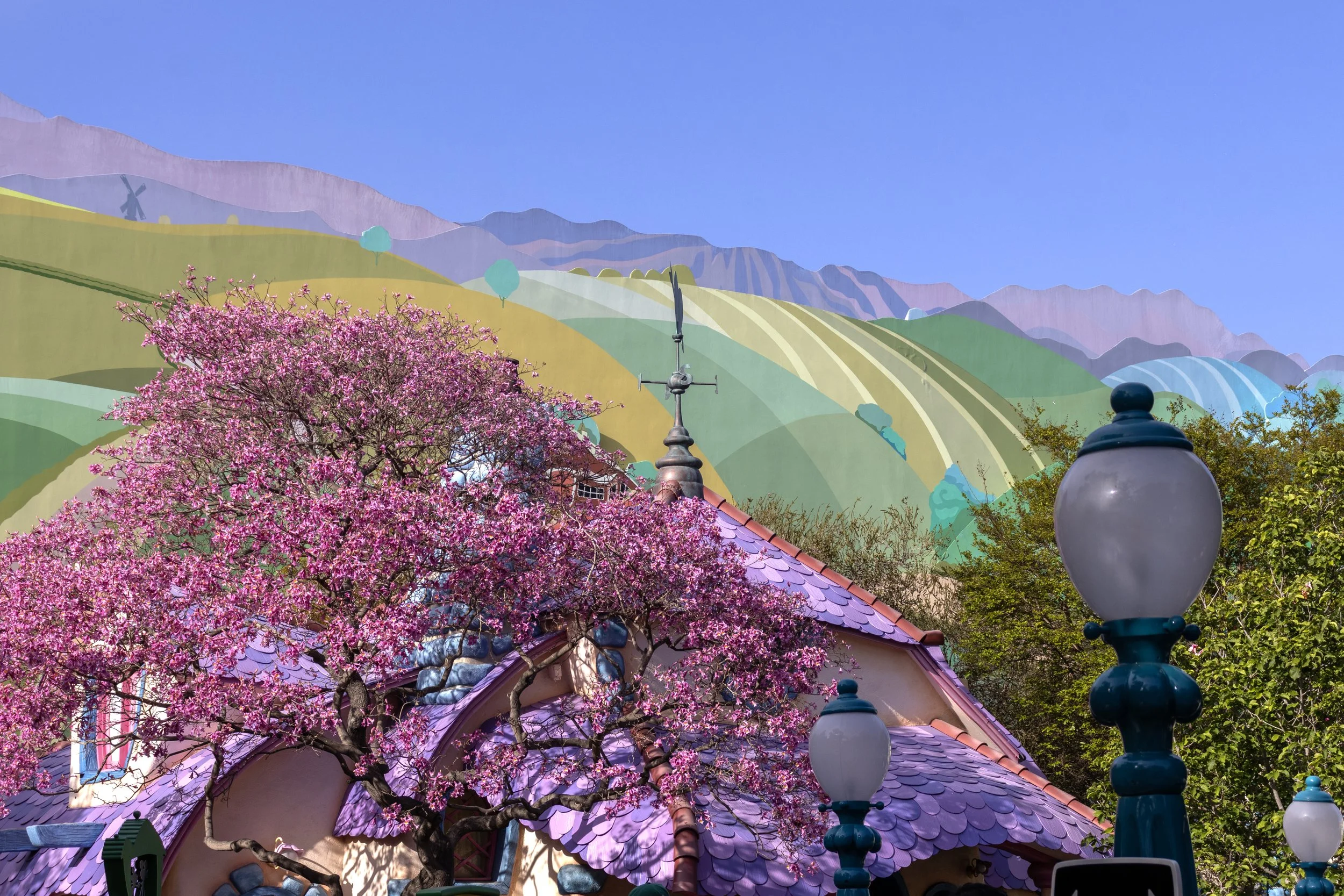ToonTown Backdrop.jpg
