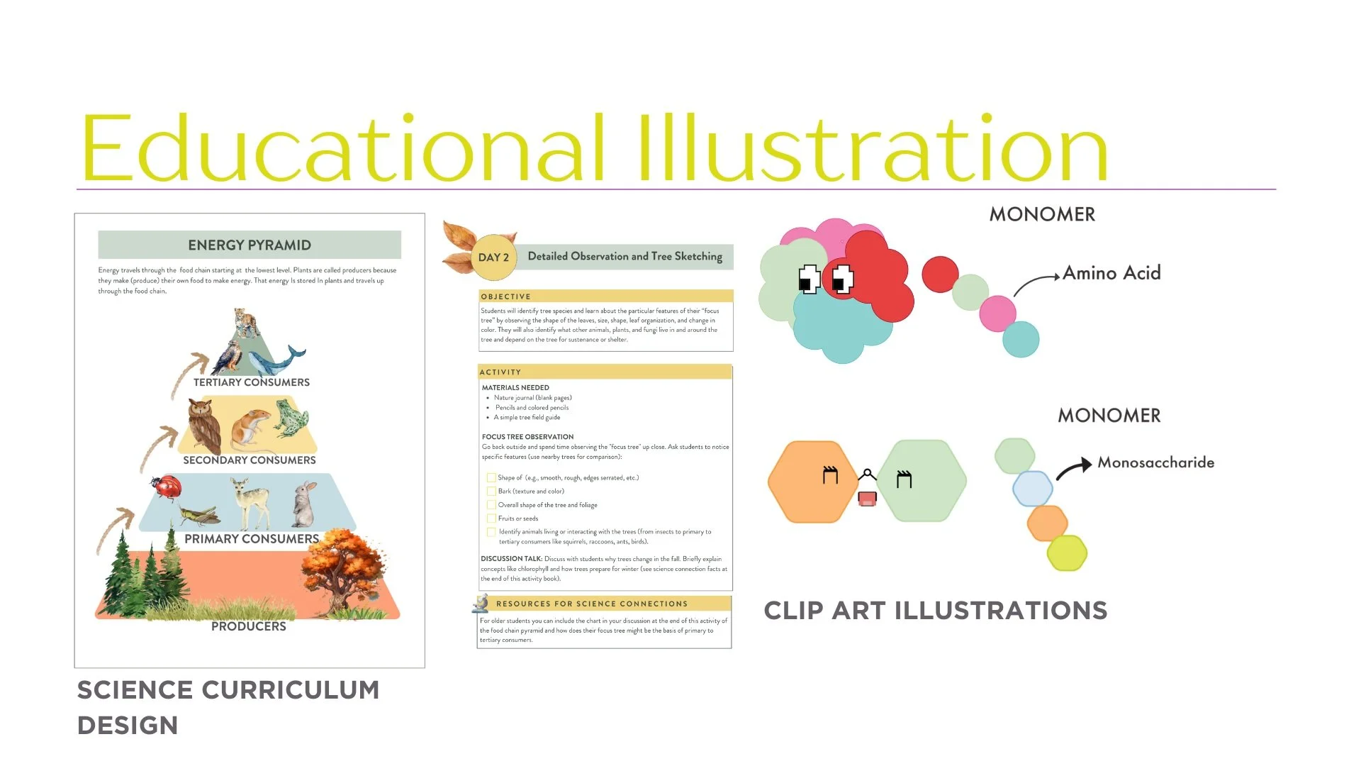 Breve Design Co has a passion for science educational illustration