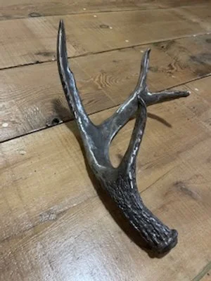 Iron Antler