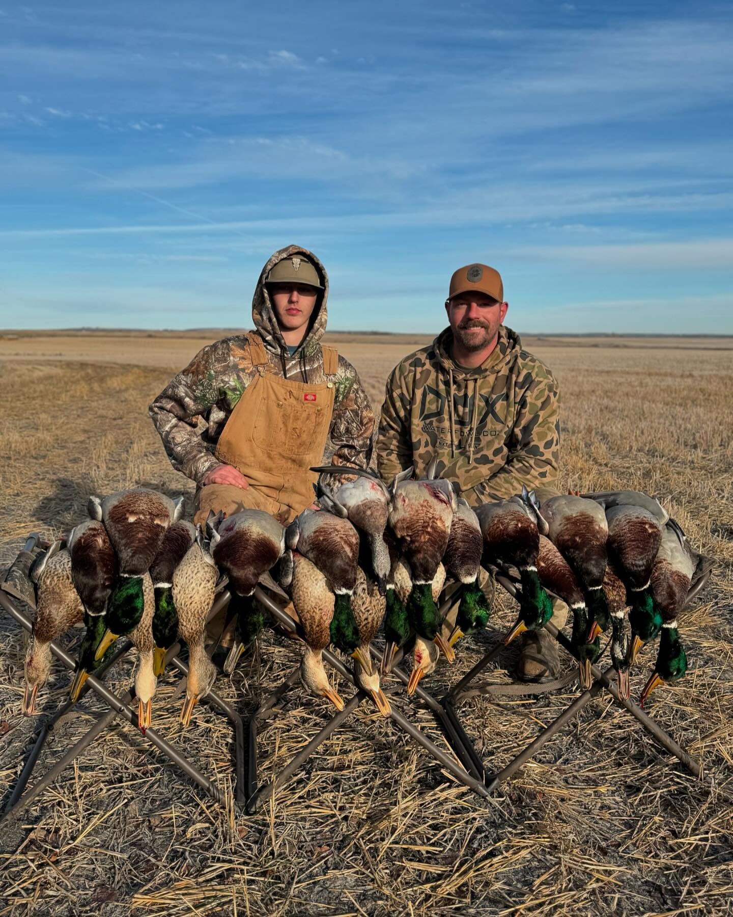 November mallards 🦆 

#lastpassadventures #huntducks #huntalberta #travelalberta #alberta #canada