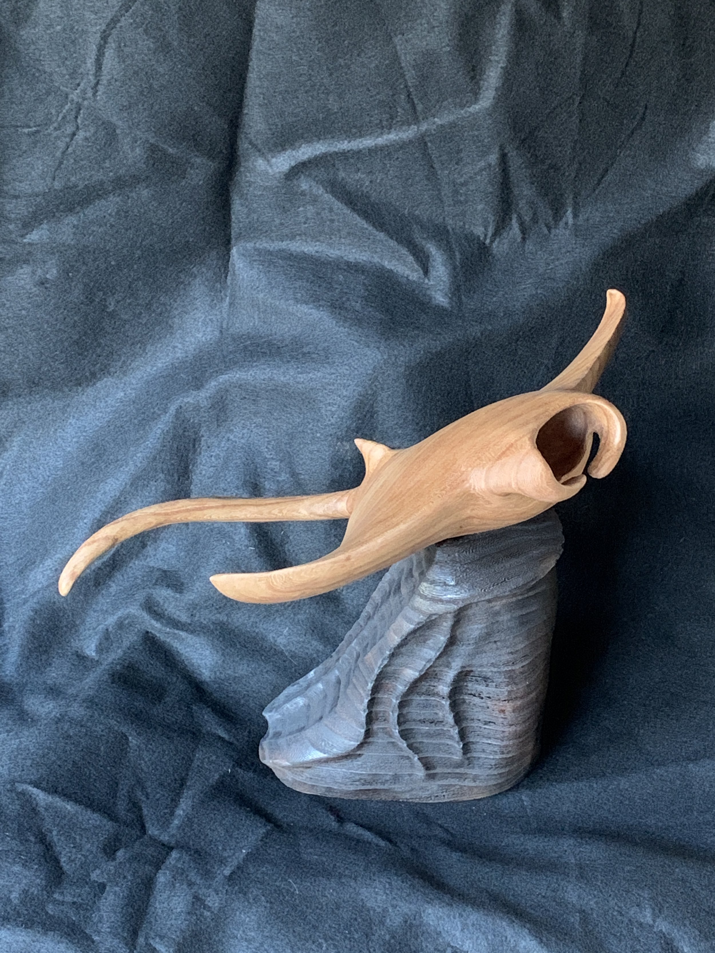 Wooden sculpture of manta ray, on a dark fabric background.