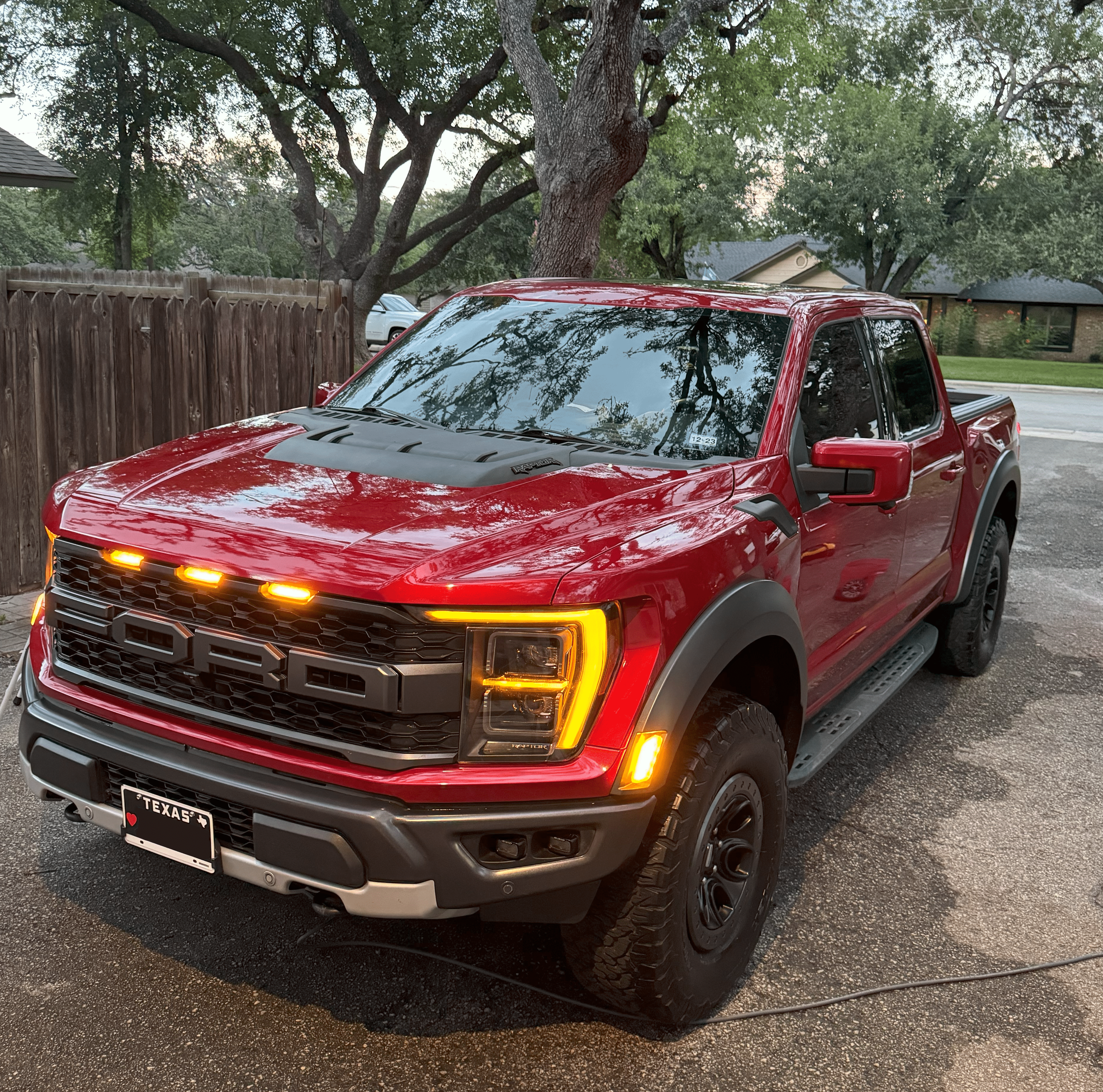 Raptor Front.png