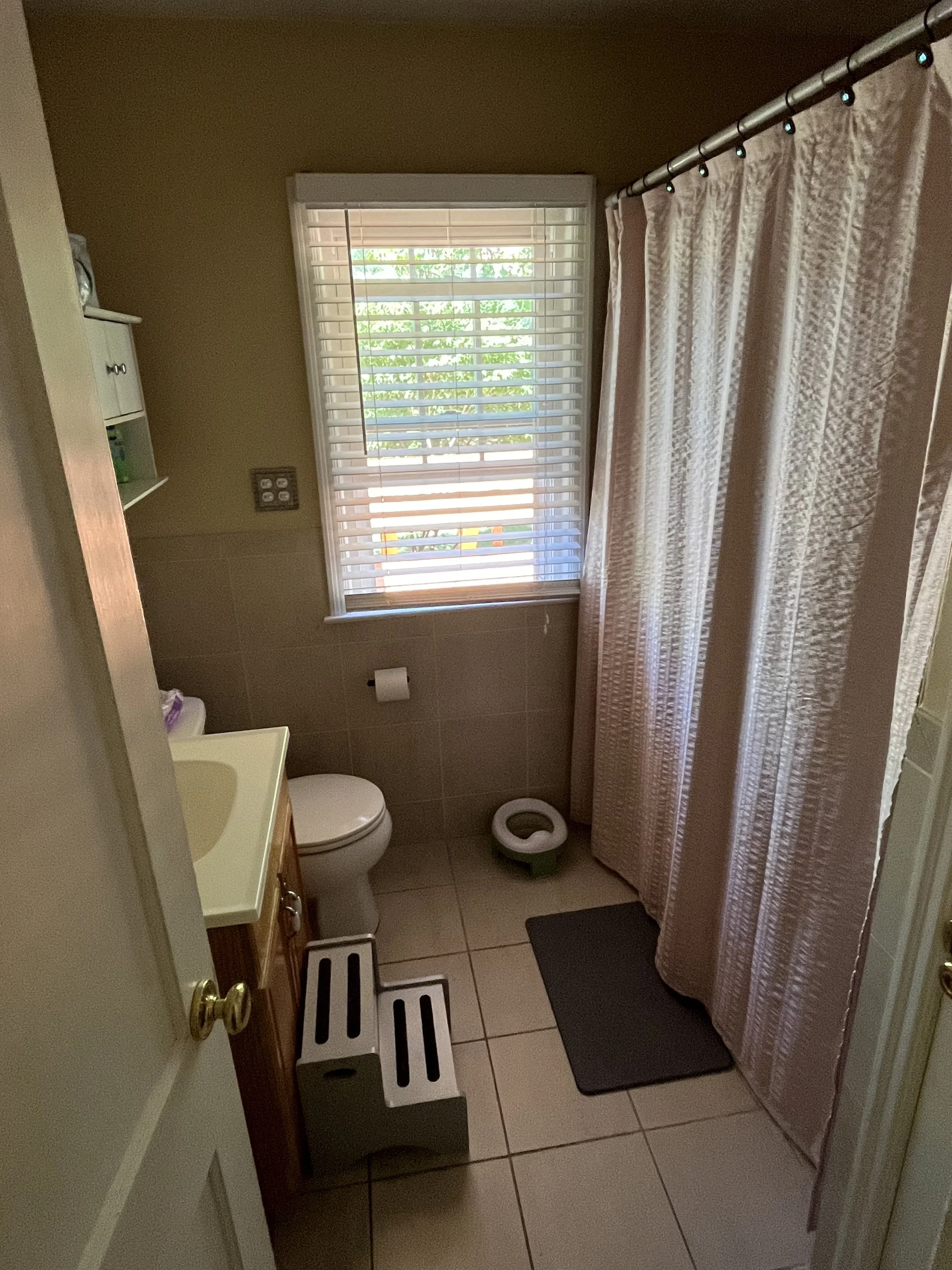 Self-Help/Independence Toilet Learning