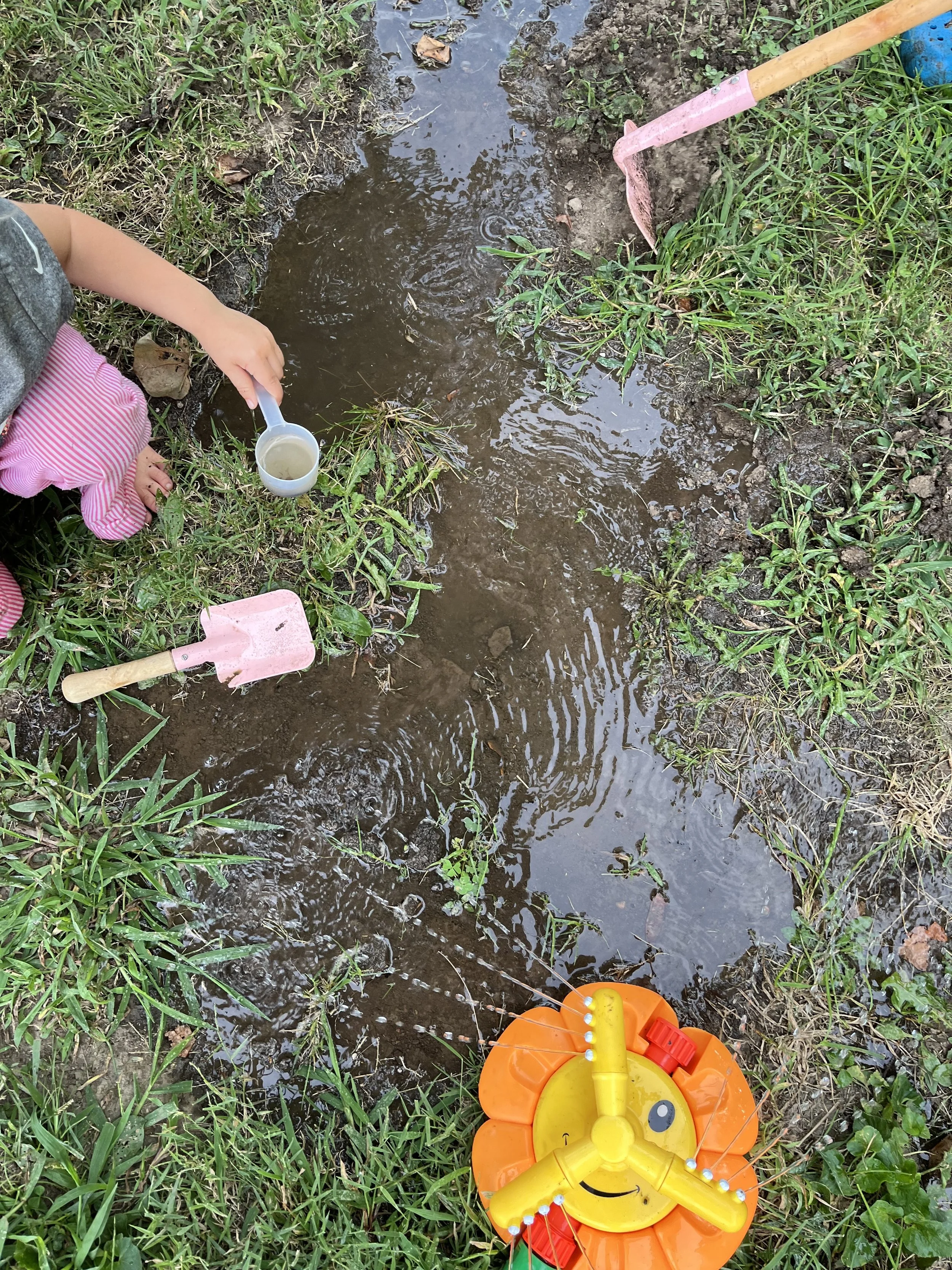 Sensory Development
