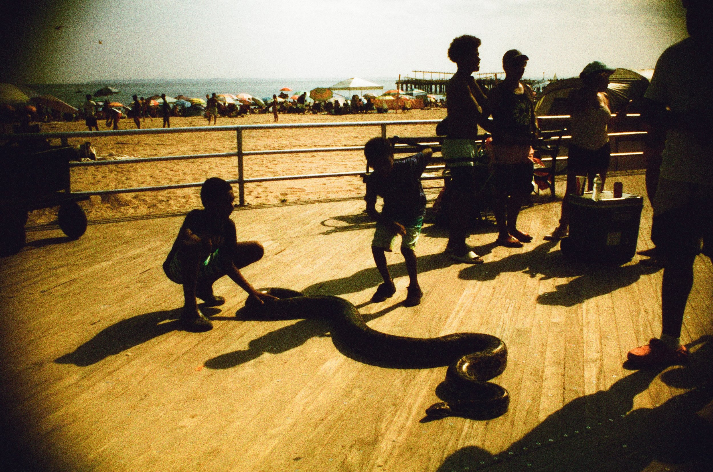 005333CF-3A52-4E93-A09C-C43445A5645D.jpeg