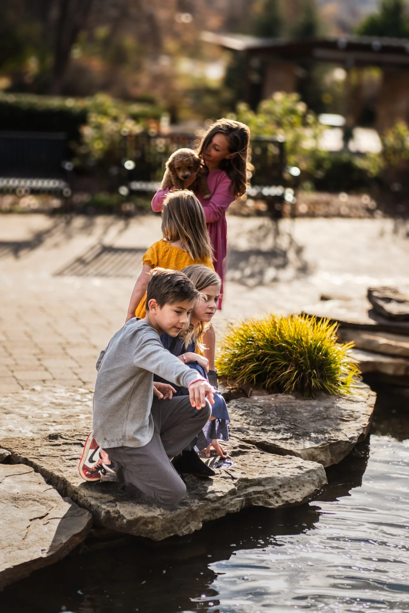 A woman and three children are sitting on rocks by a pond, with the woman holding a small puppy. The children are looking at the water, enjoying the outdoor setting.