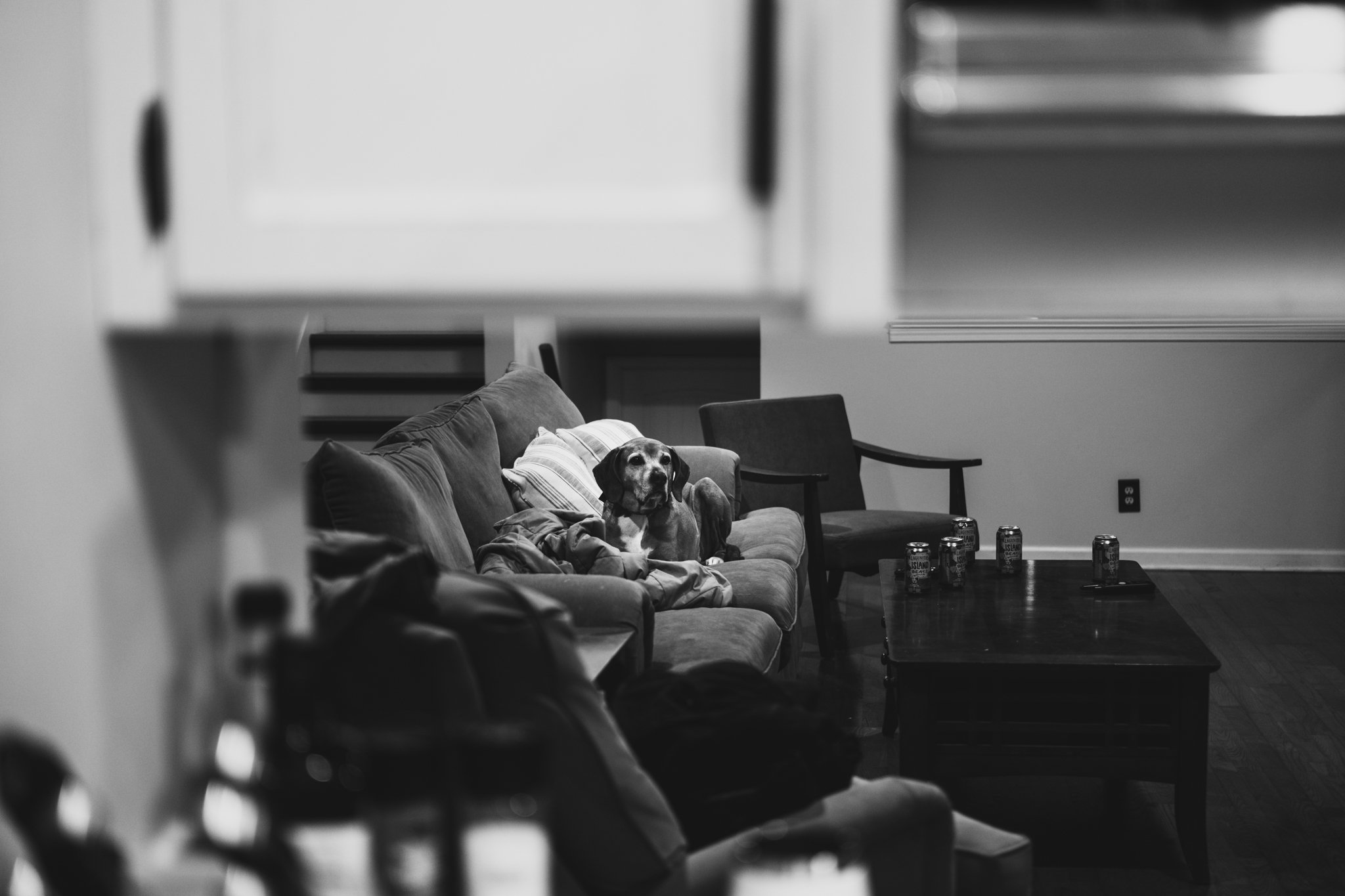 A black-and-white photo of a living room with a dog lying on a couch, surrounded by cushions and blankets, with a table in front holding soda cans.