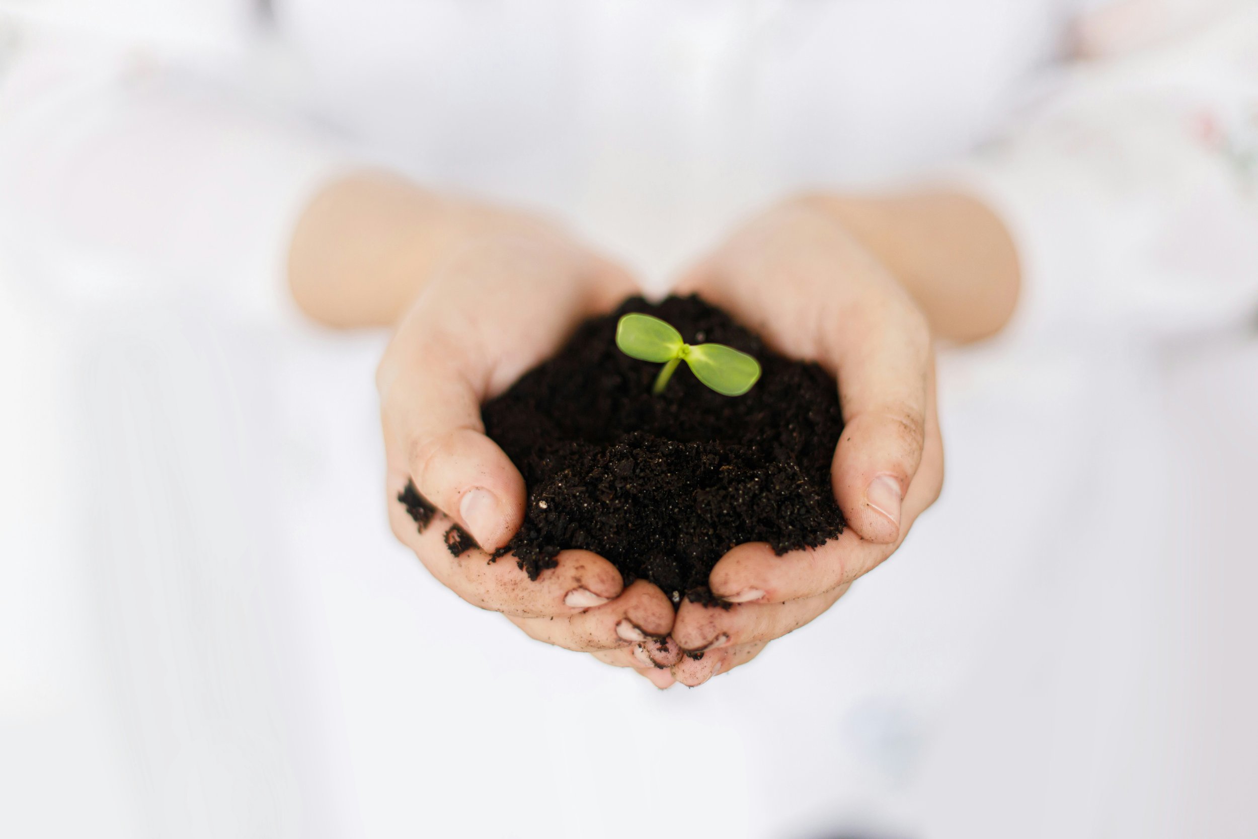 My impact grows through you: A guide for referring me