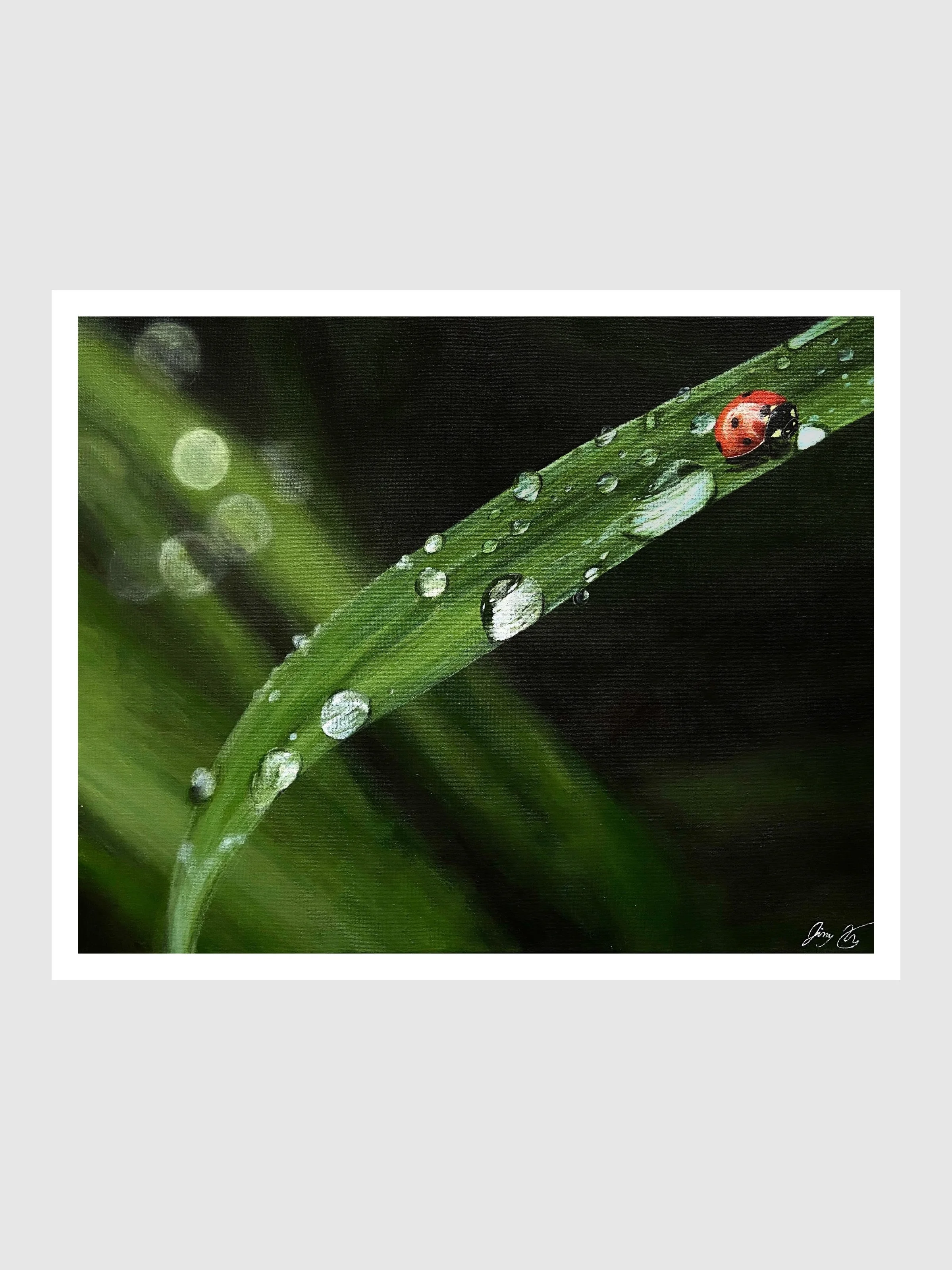 Lady Bug