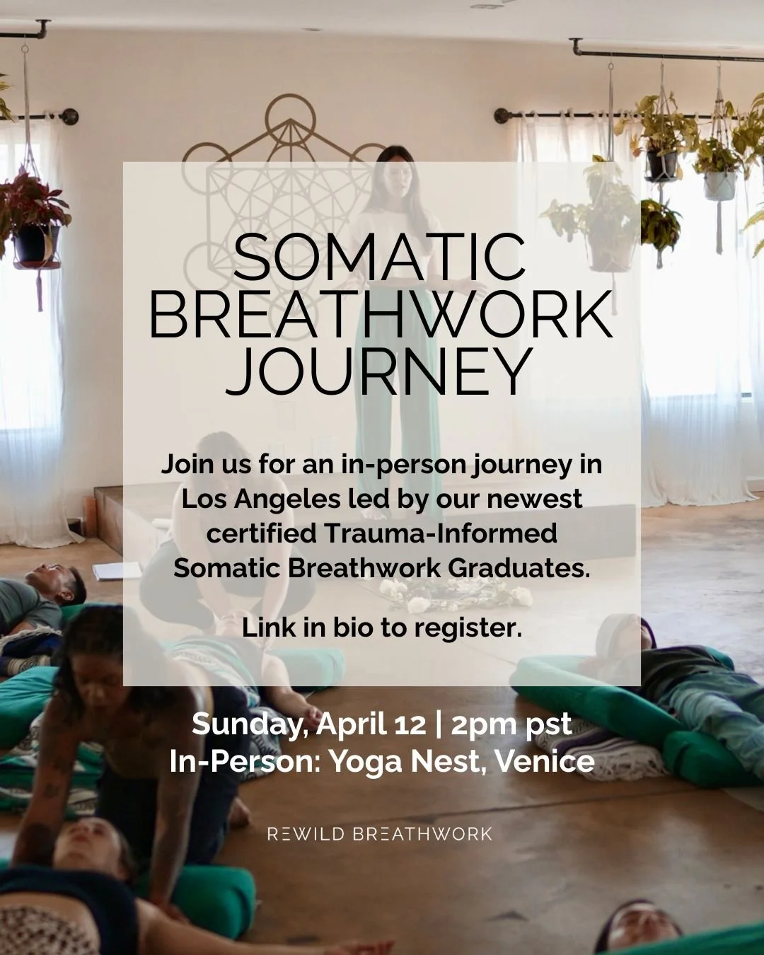 ReWild Somatic Breathwork Journey