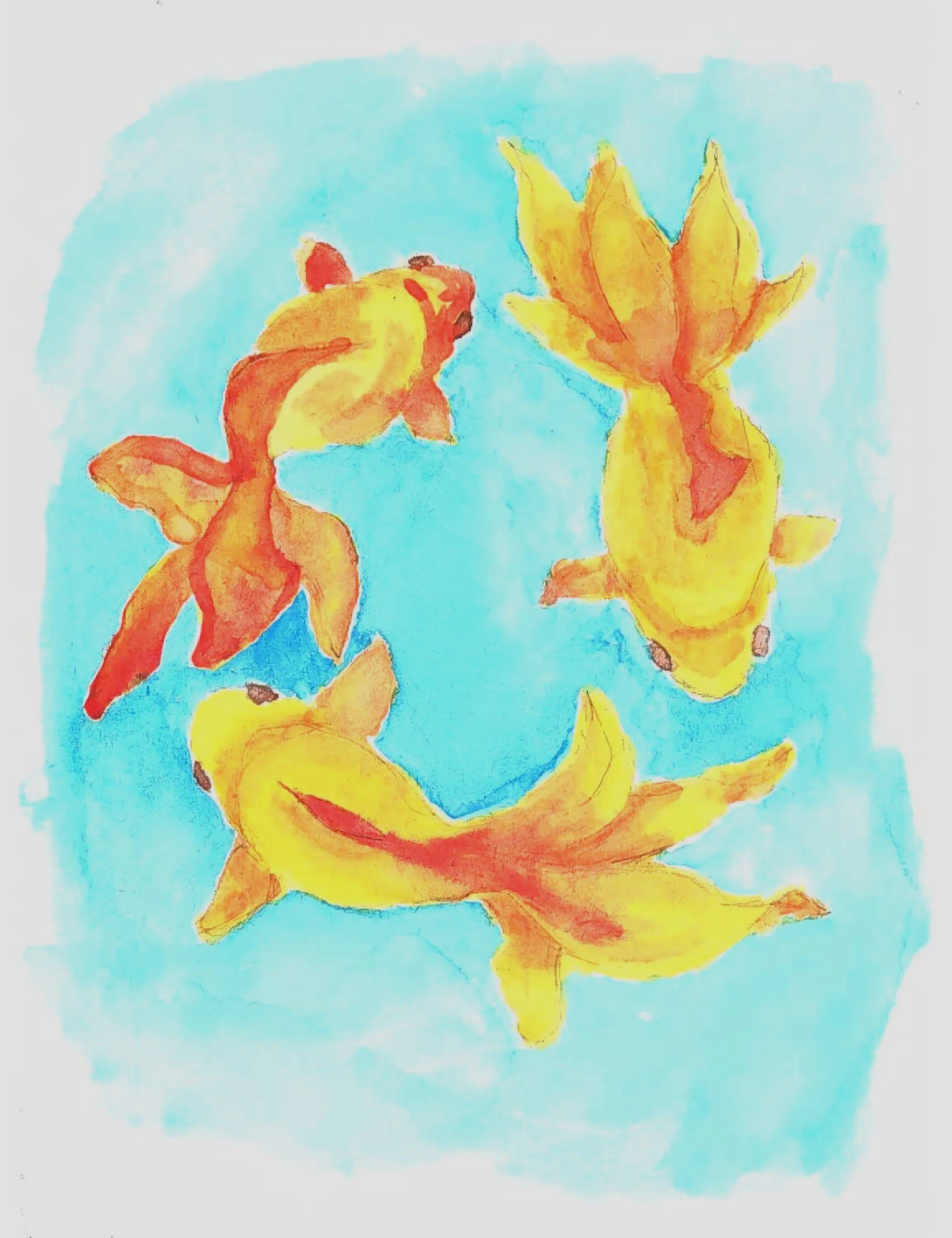 Goldfish