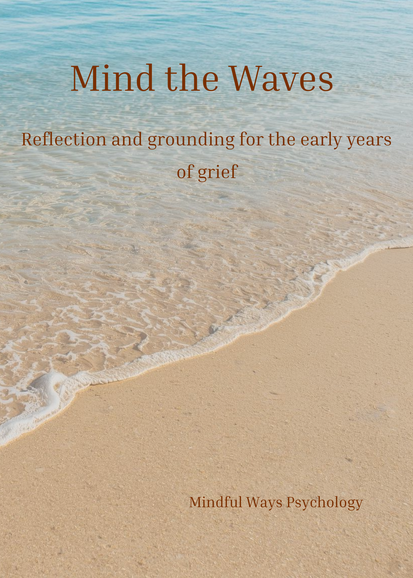 Draft 2 Front of Box and booklet.png