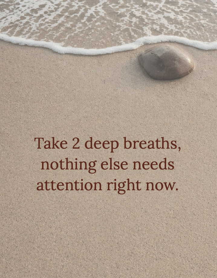 Screenshot 2026-04-24 at 2.42.57 pm.png