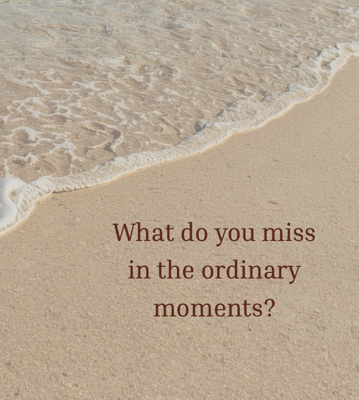 Screenshot 2026-04-24 at 2.41.58 pm.png