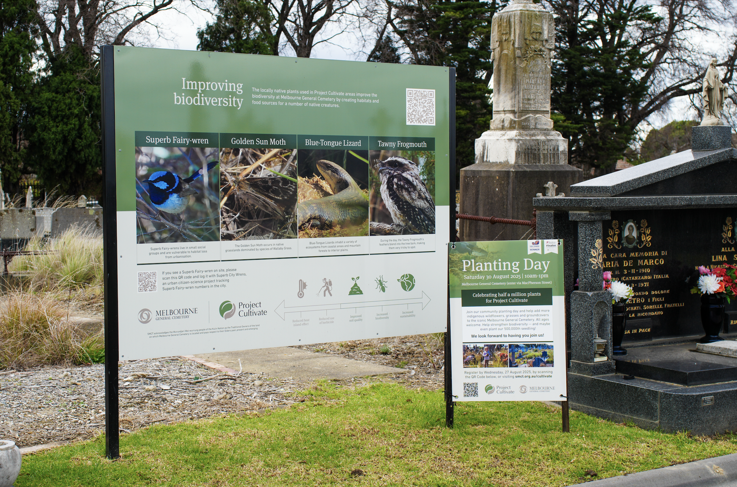 Project Cultivate banner design