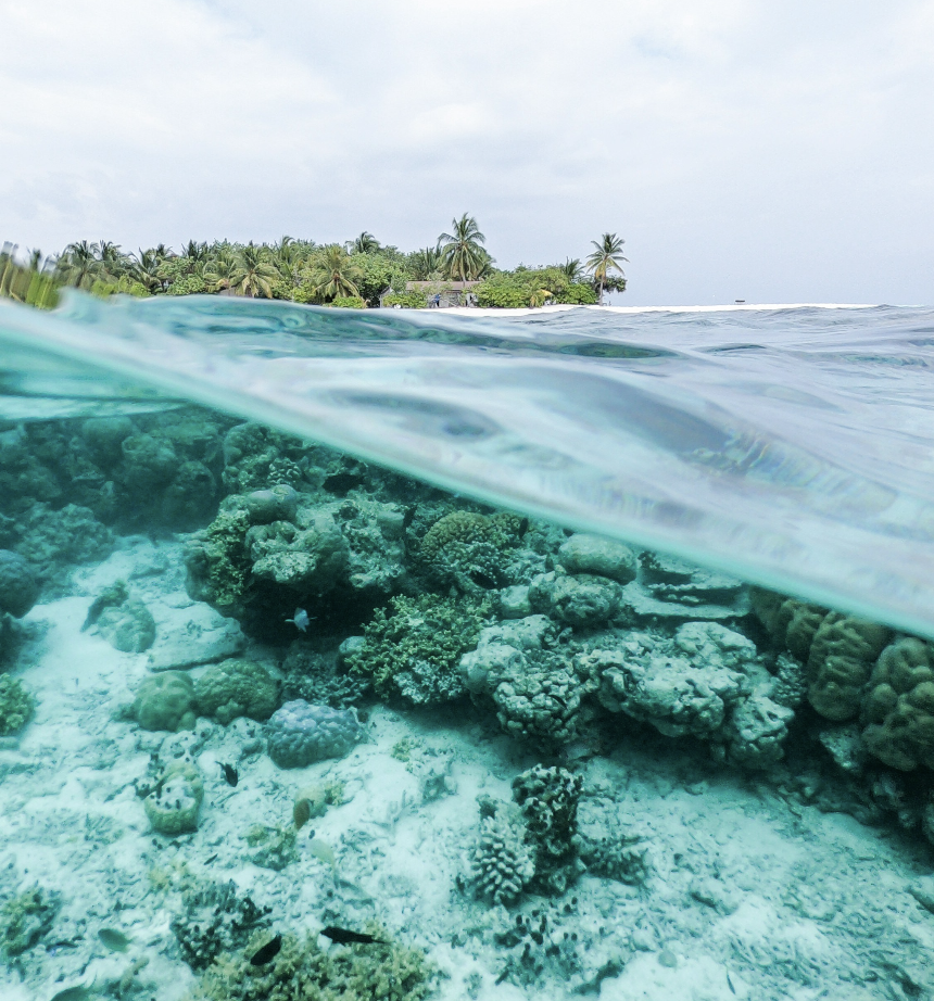 Freedive Gili gallery photo 4