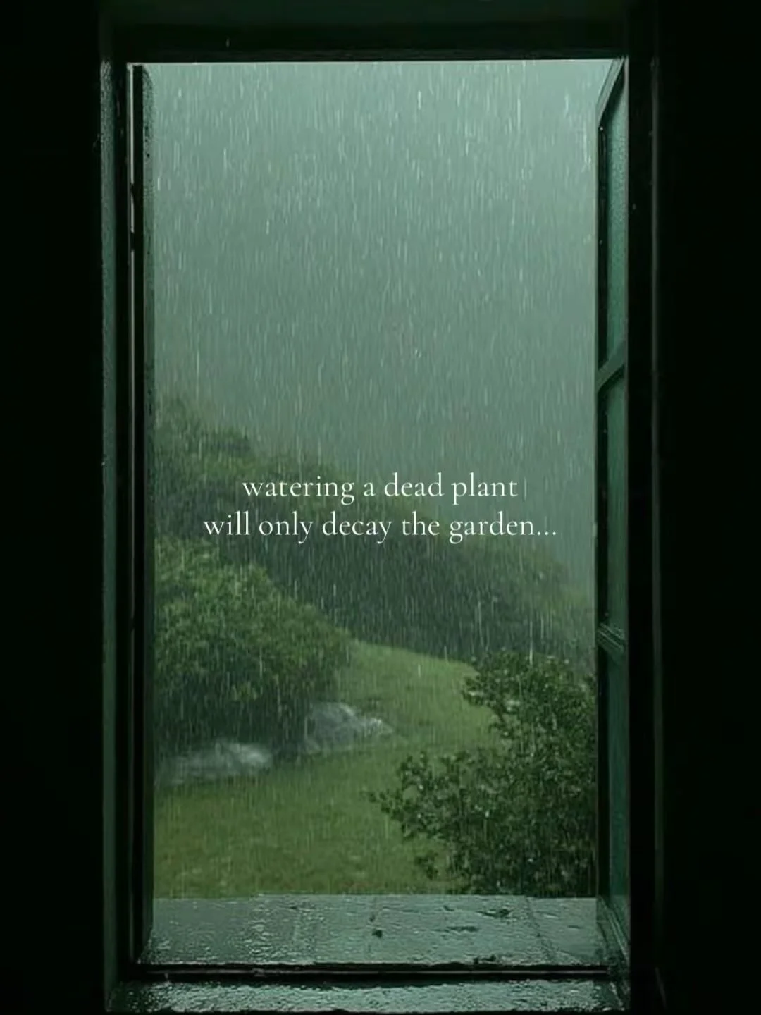 🥀🤍

🏷️: #originalpoetry #poetry #poetrycommunity #healingpoetry #healingpoem #healingquotes #writersofinstagram #poetsofinstagram #poetrybook #poetrybooks #explorepage