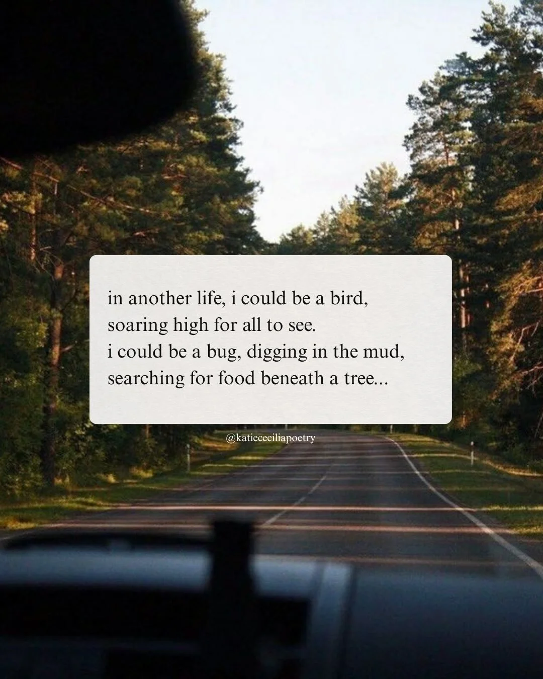 spring has me feeling hopeful 🌱🤍✨

#poetry #healingpoetry #healingpoem #poetrybooks #poetrycommunity