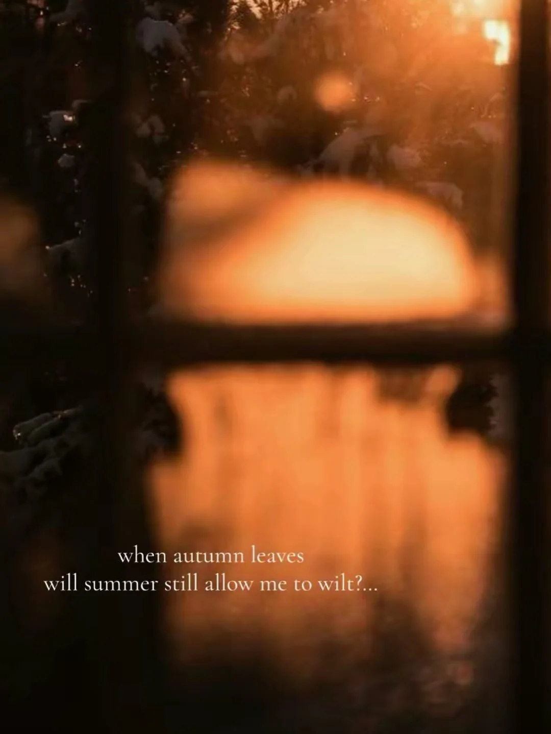 🍂

🏷️ #poetry #healingpoem #healingpoetry #poetrybook #poetrybooks