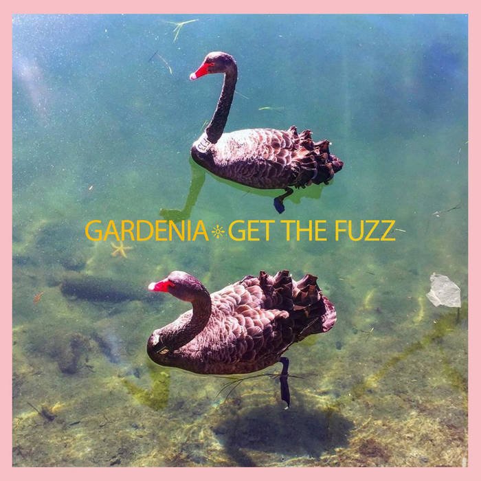 Gardenia, Get The Fuzz: Recorded, Mixed