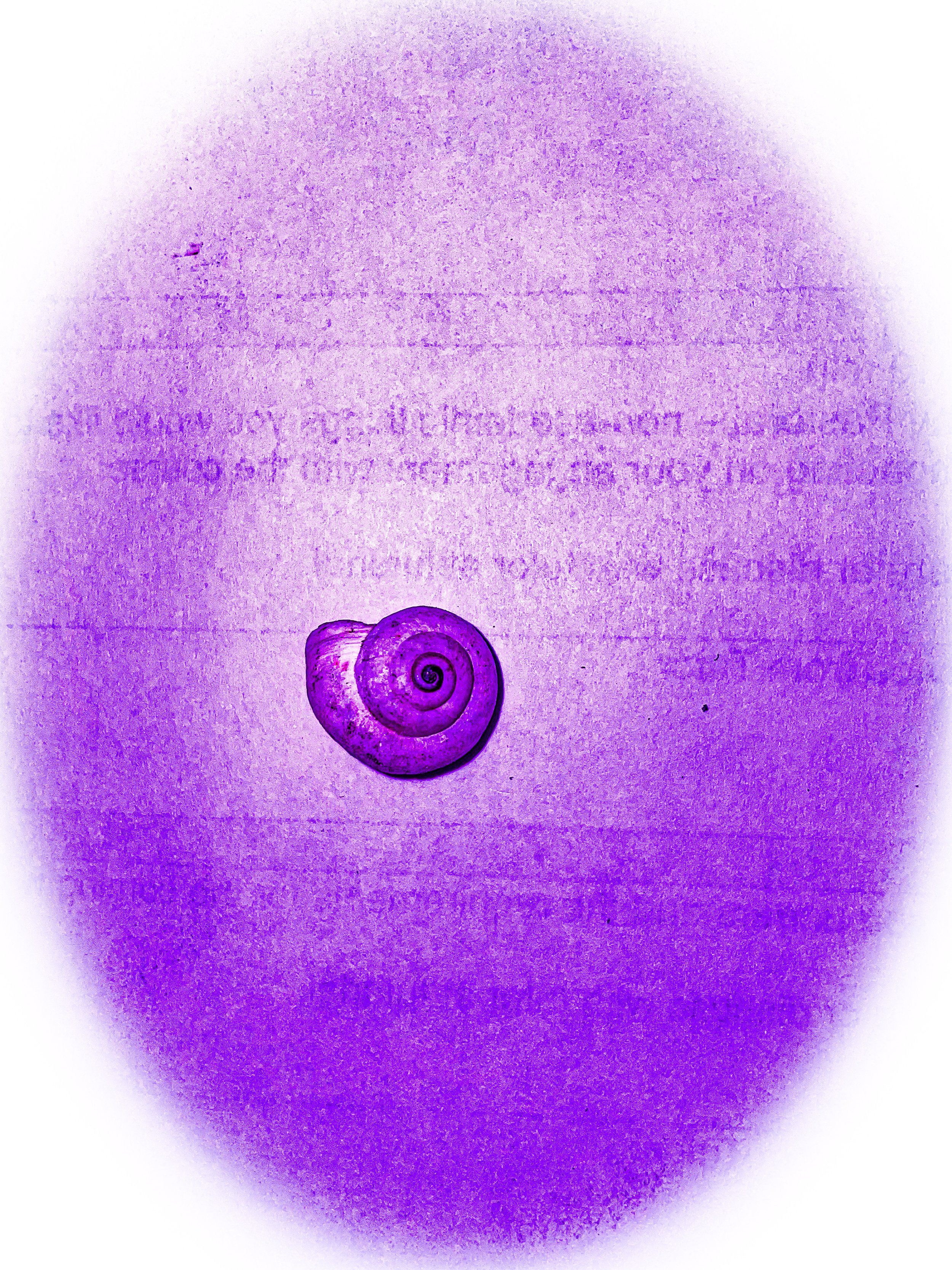IMG_3579.jpeg