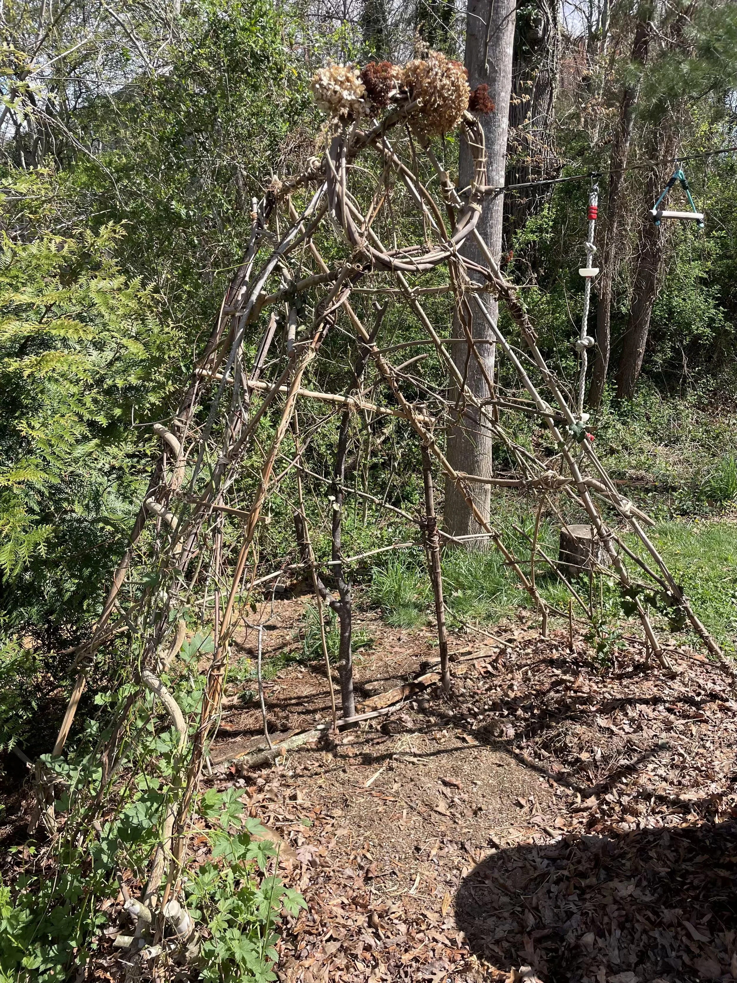 climbing vine arbor.jpg