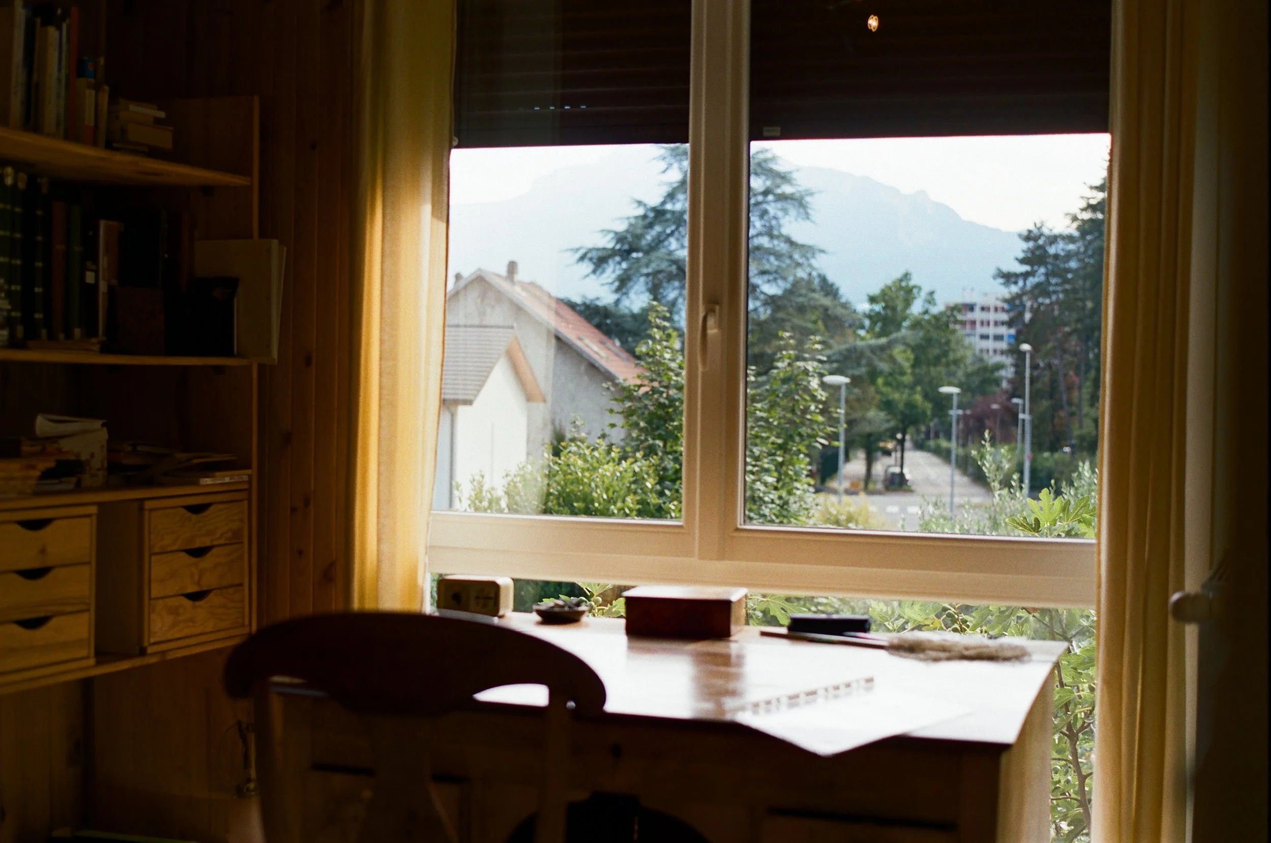 31 rue des abeilles, 2024