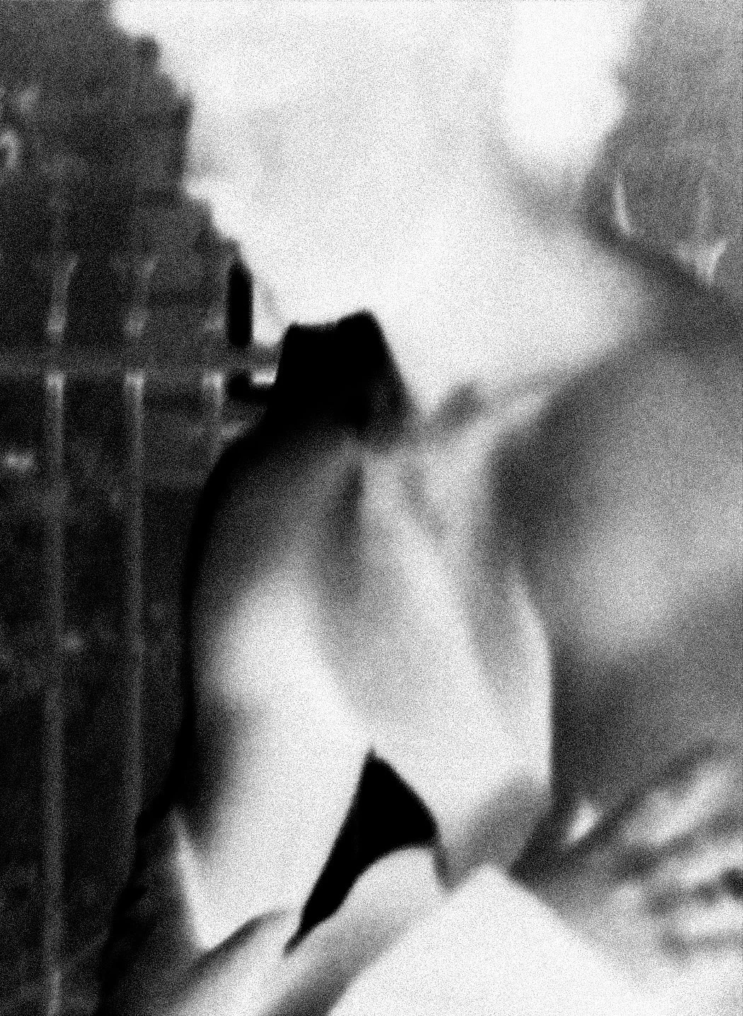 Tom Guilbaud & Lisa Rinsoz, danseur·euse·s, 2024