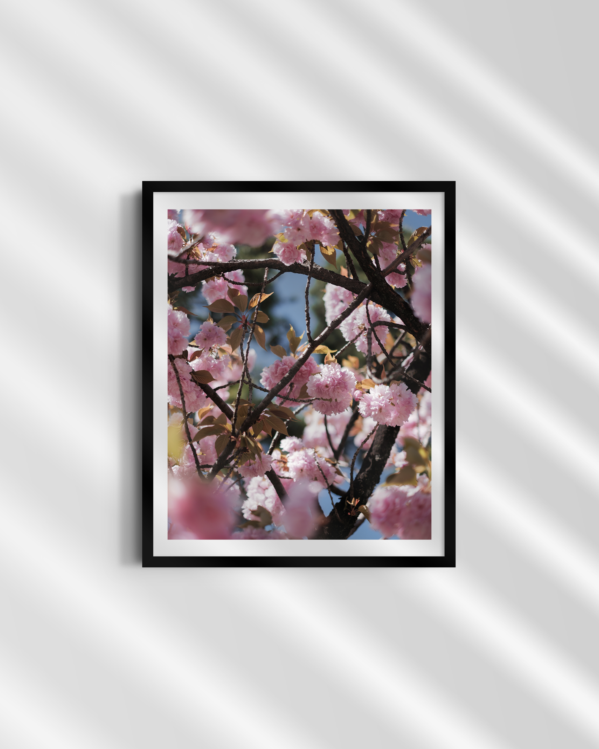 04-4x5-PORTRAIT-frame-03-14.png