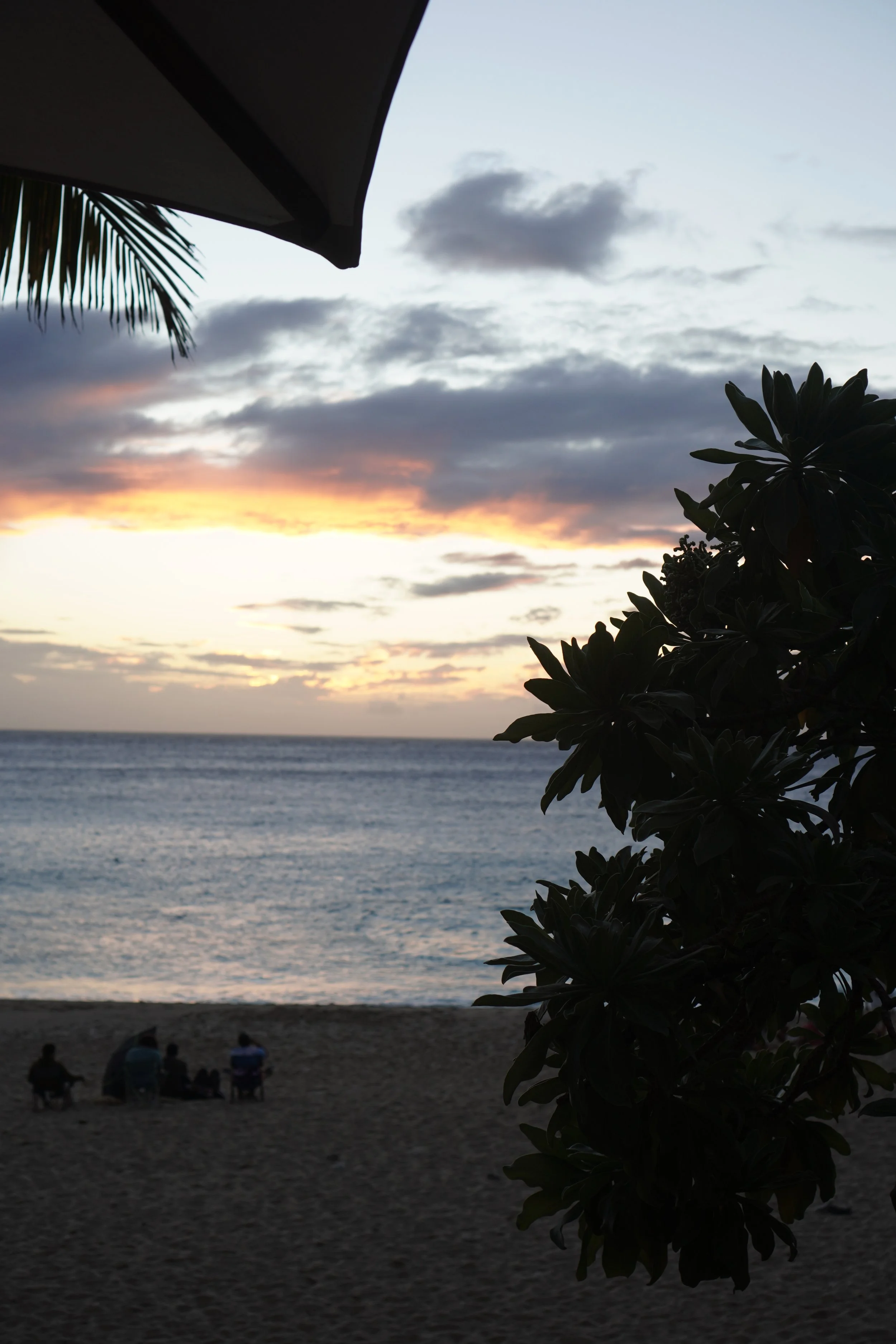 DSC08438.JPG