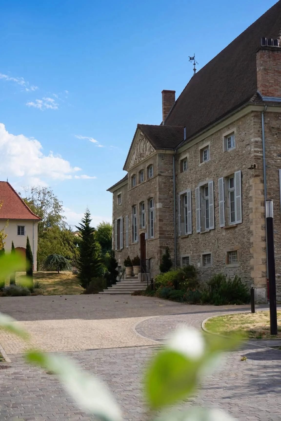 811303767_10245619063597442_7056486471432435842_n.jpg