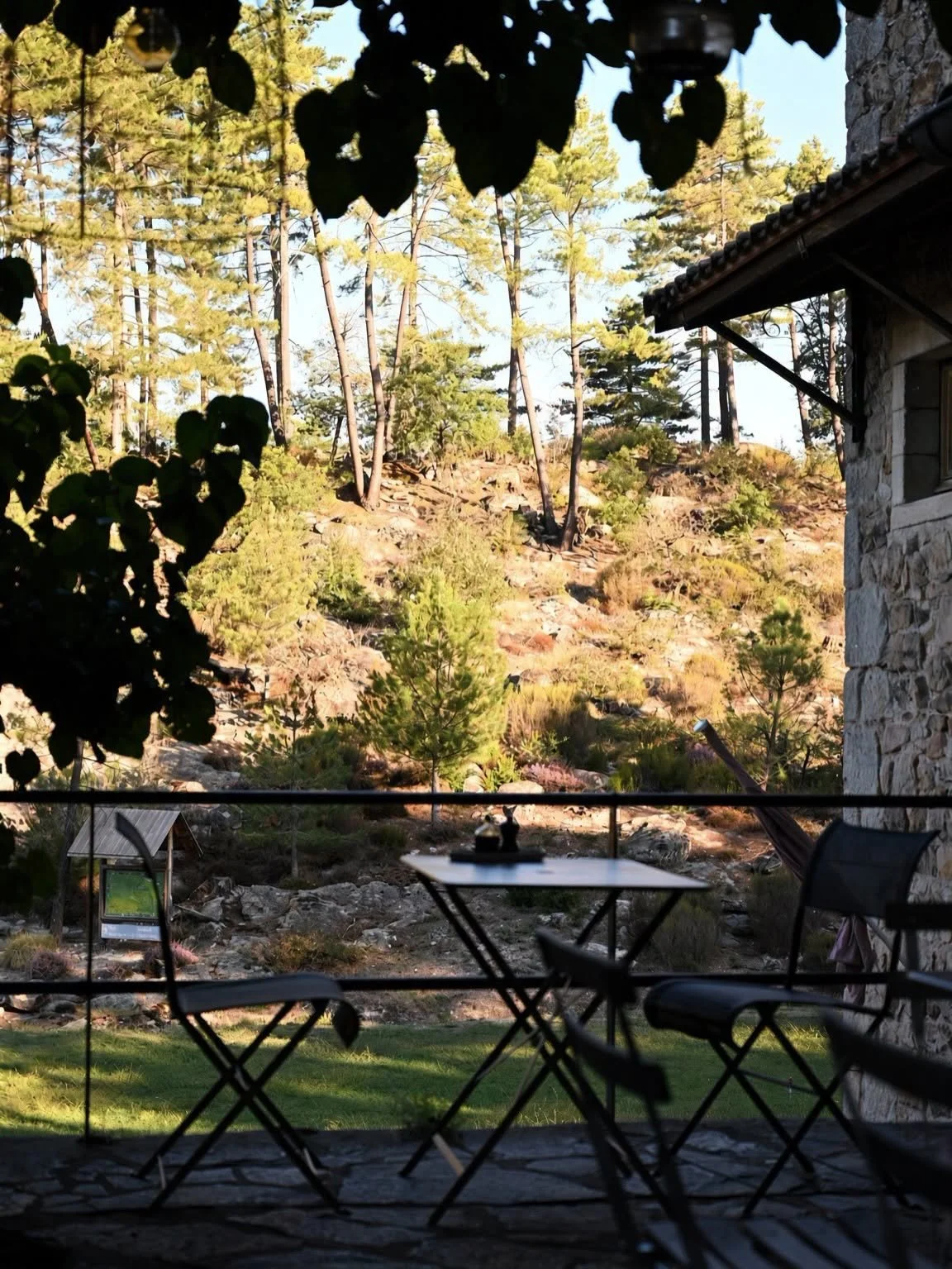 Terrasse ombragée avec table et chaises en fer sous les pins