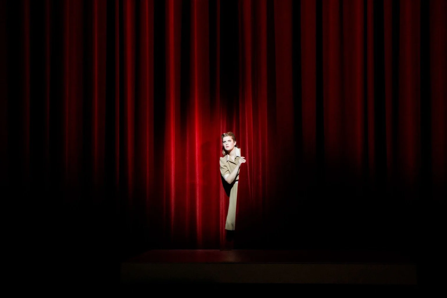 Freiburg Rake Image 13.JPG