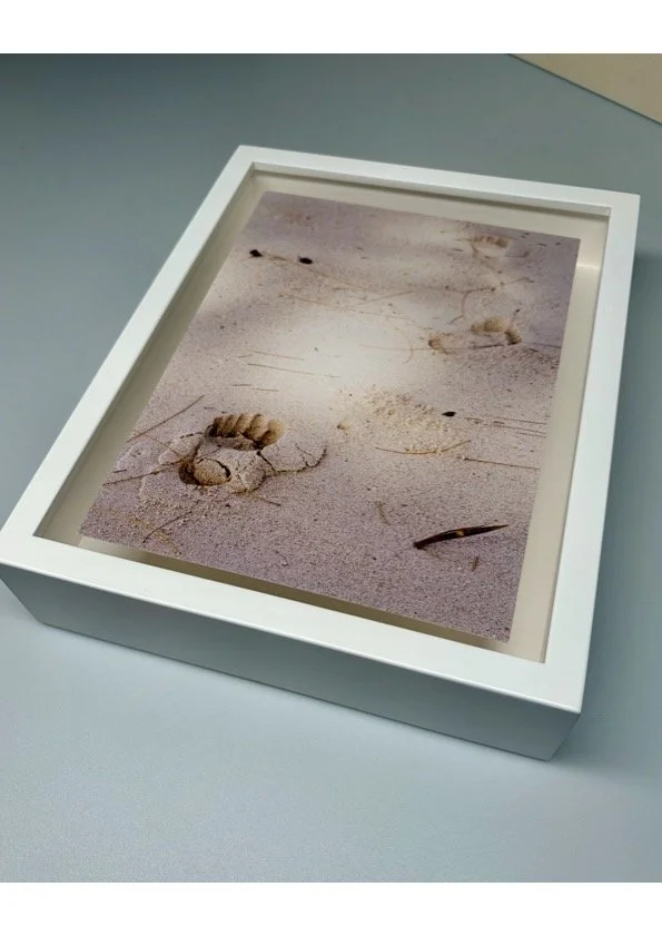 Paradise Found: My First Solo Exhibition in 2027