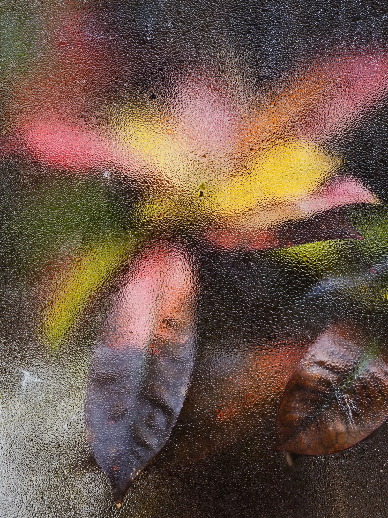 To Be II - Where light lingers