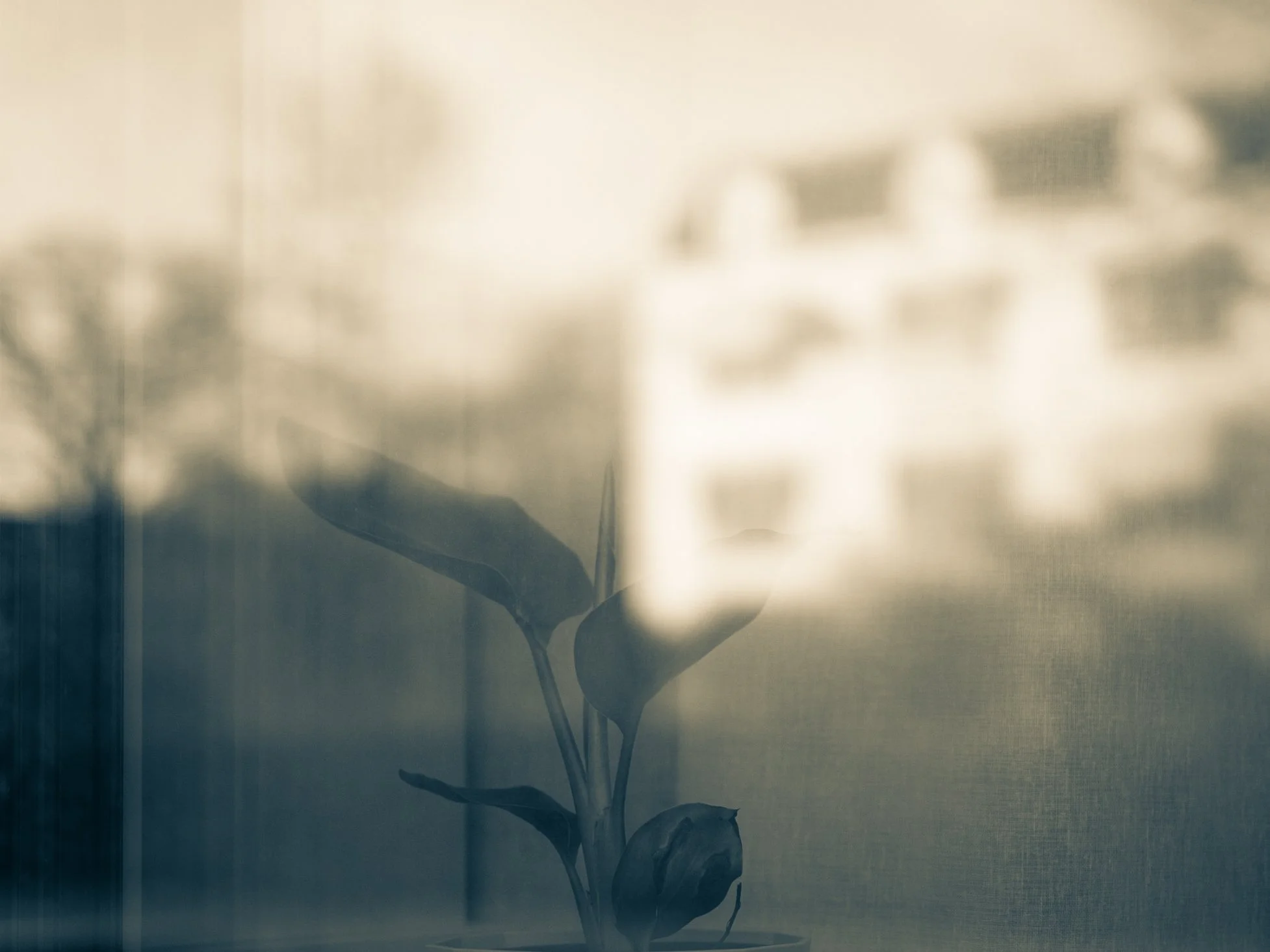 Mono colour picture with reflection of facade