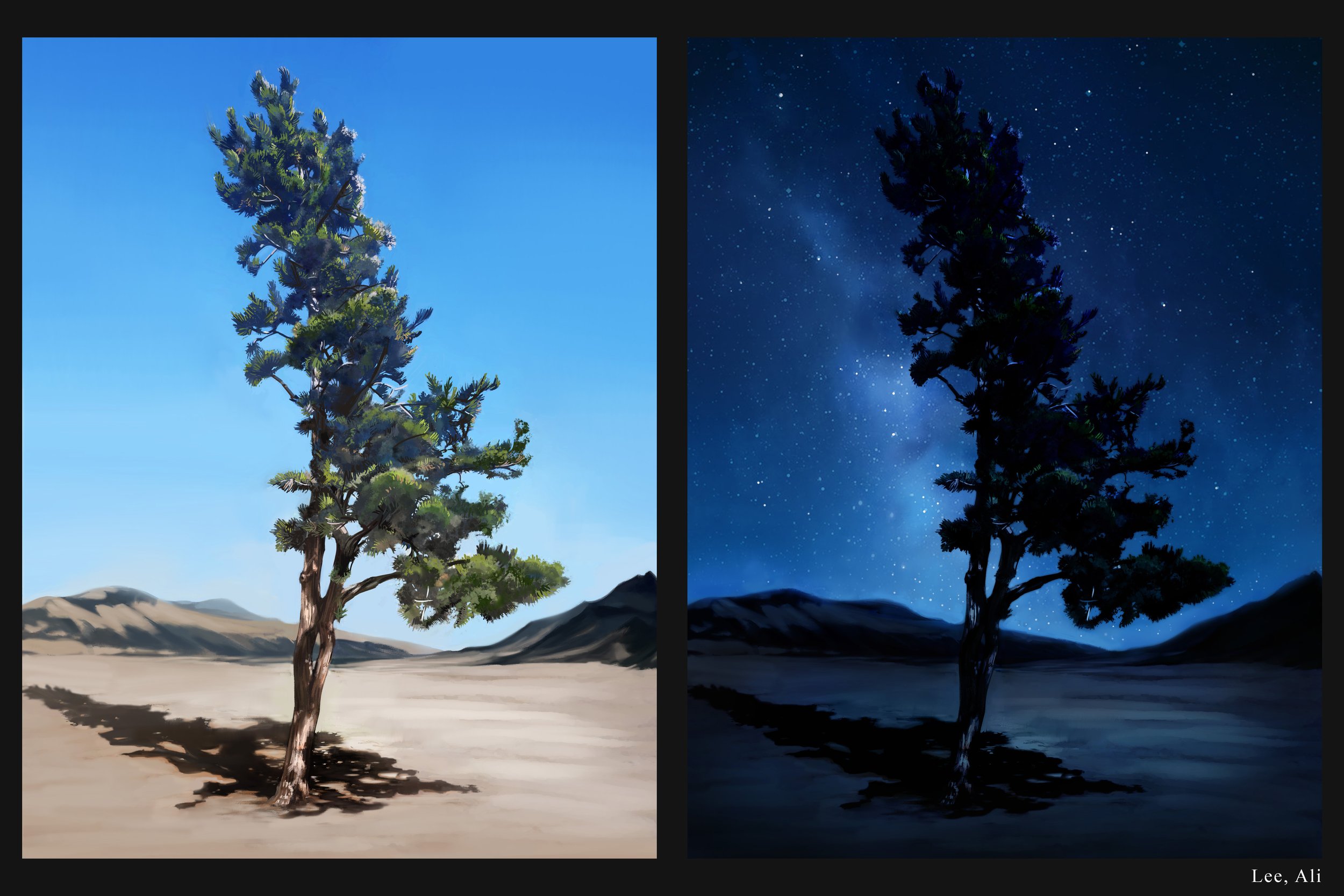Lee_Ali_Tree_85%.jpg