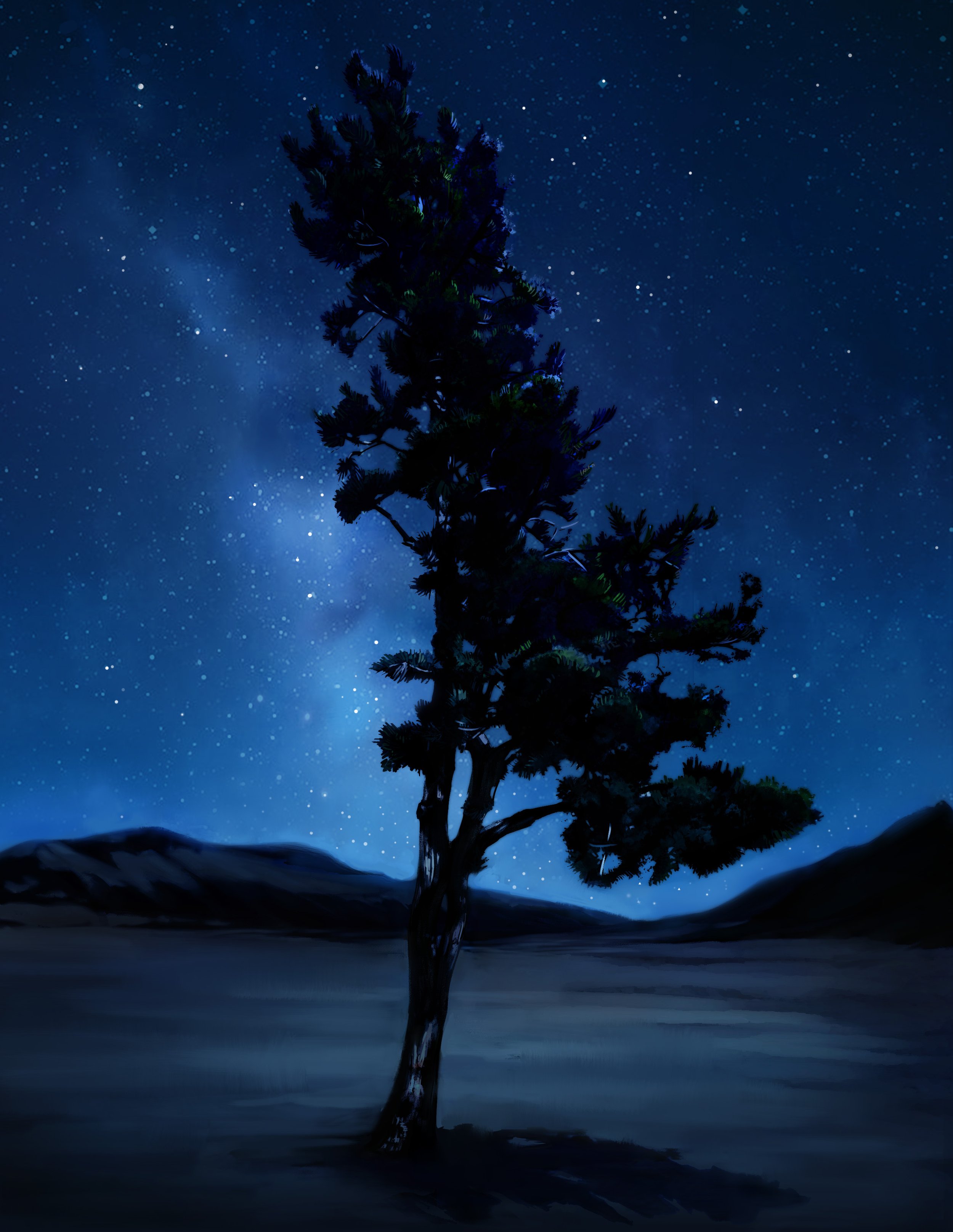 Lee_Ali_Tree_NighttimeV2.jpg
