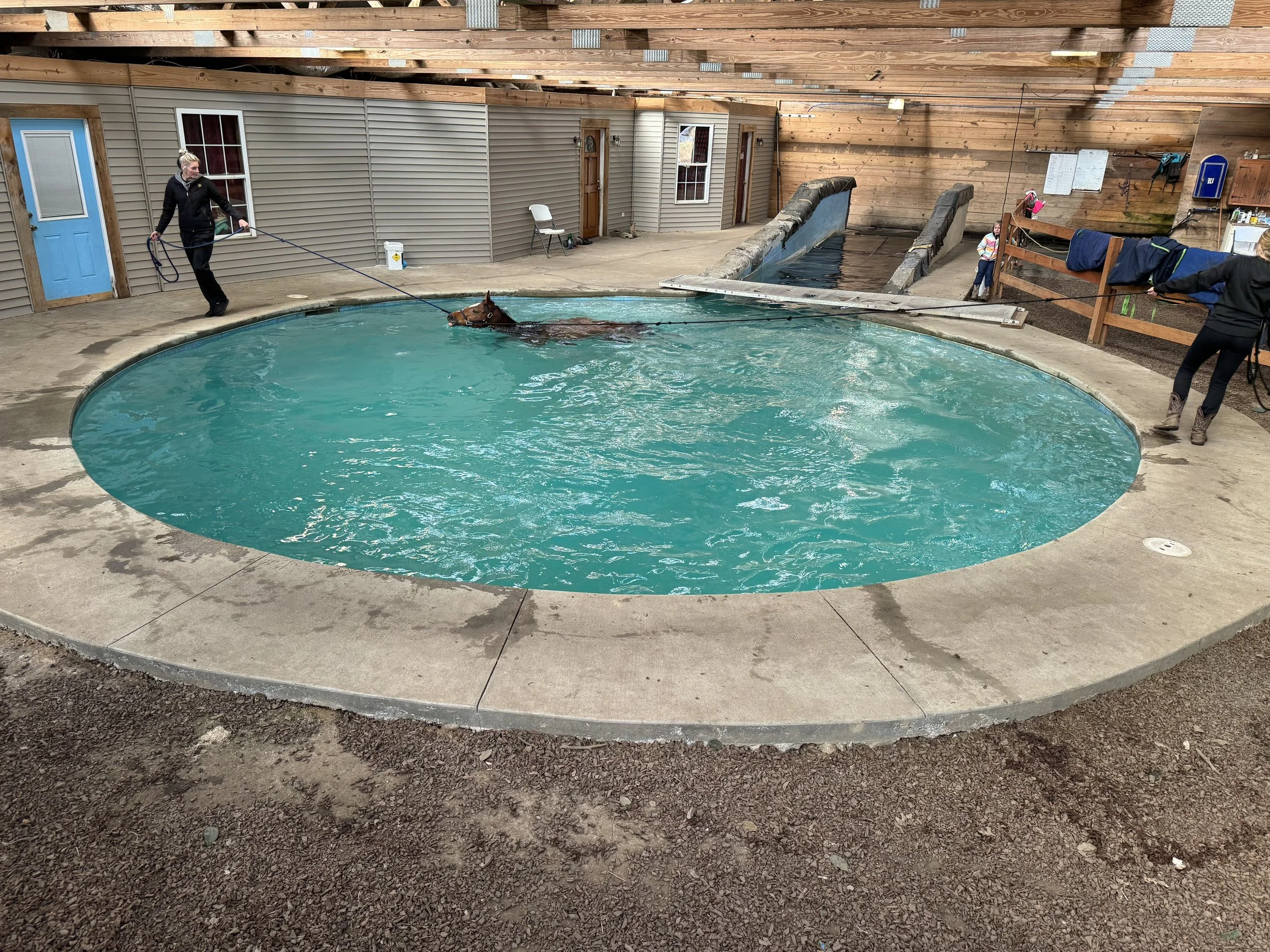 Bluegrass Aquatic Rehabilitation and Training Center