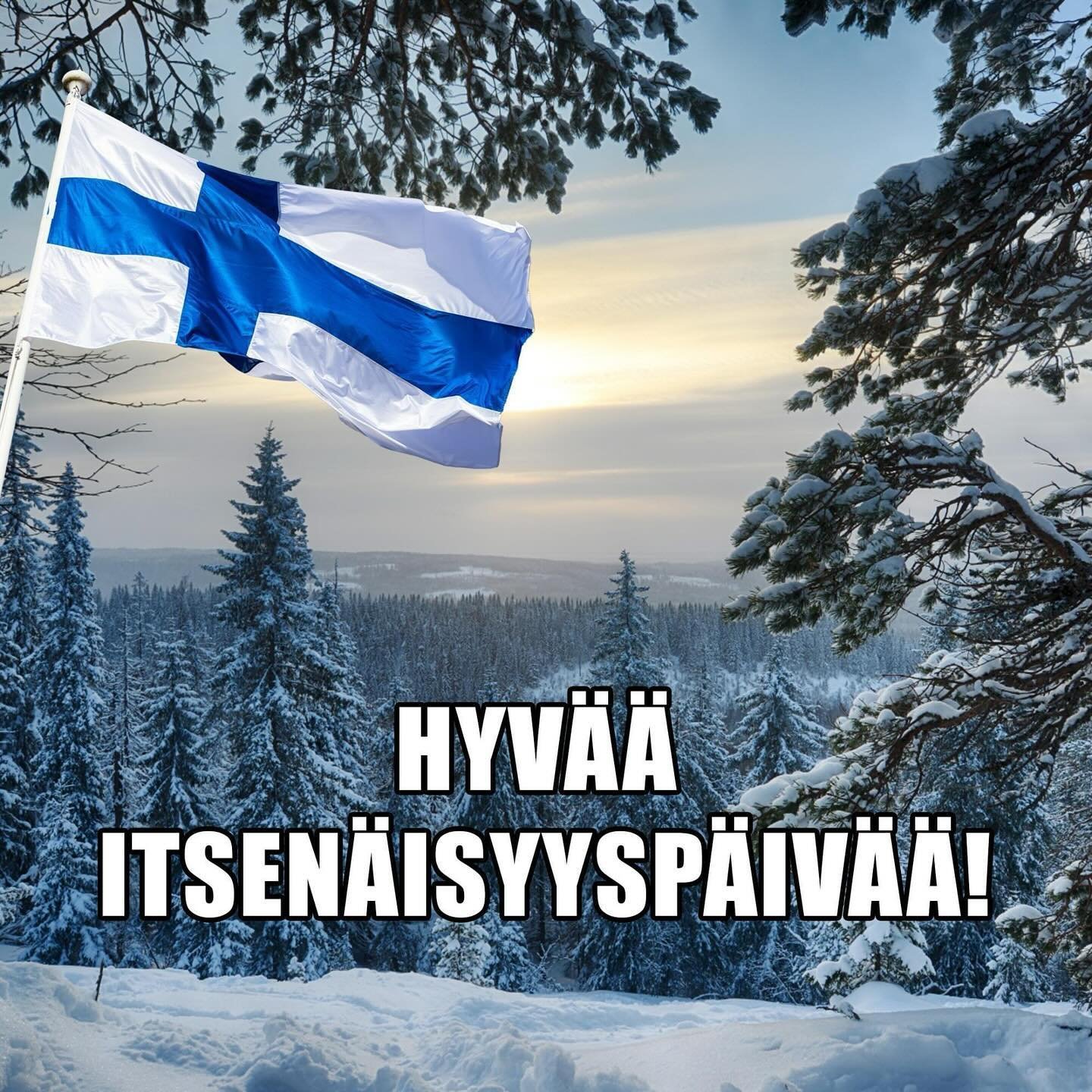 Hyv&auml;&auml; itsen&auml;isyysp&auml;iv&auml;&auml; Suomi! 🇫🇮🕯️