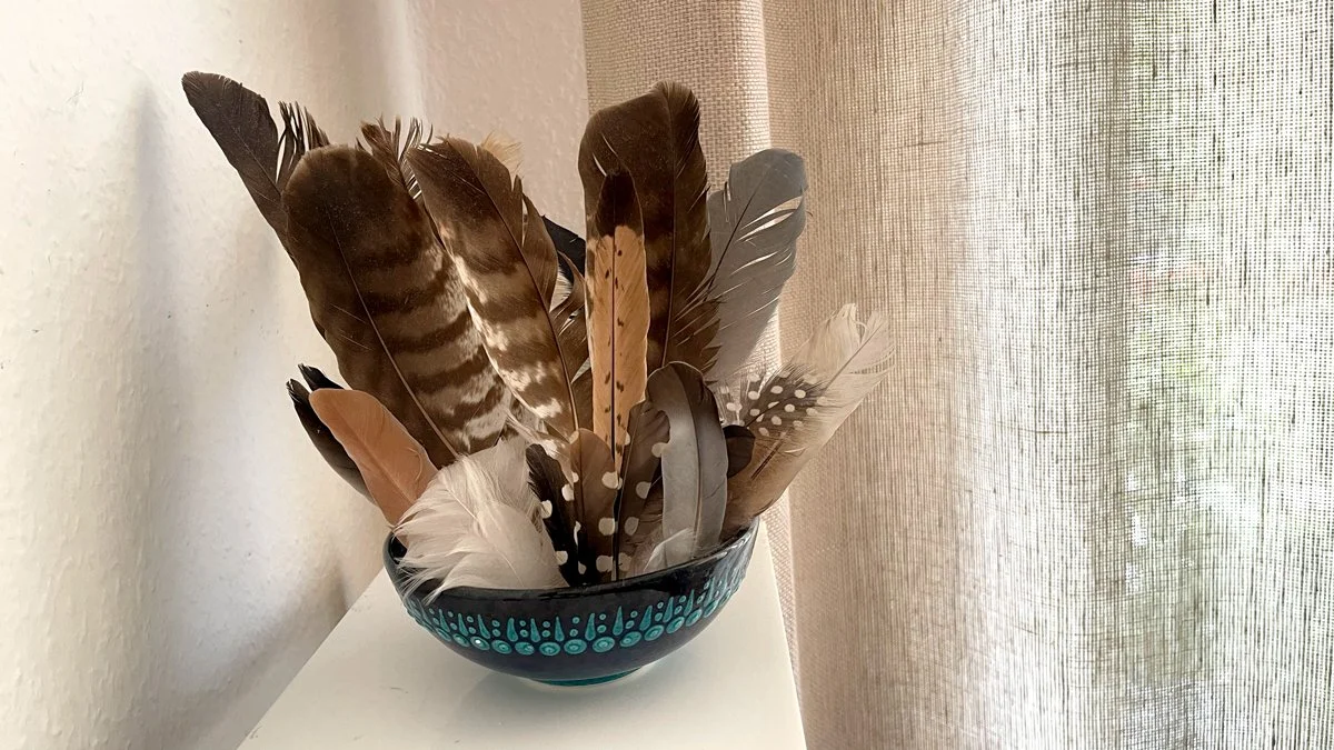 Sammlung schamanischer Federn in einer Keramikschale als Symbol für Wahrnehmung, Naturverbundenheit und spirituelle Praxis
