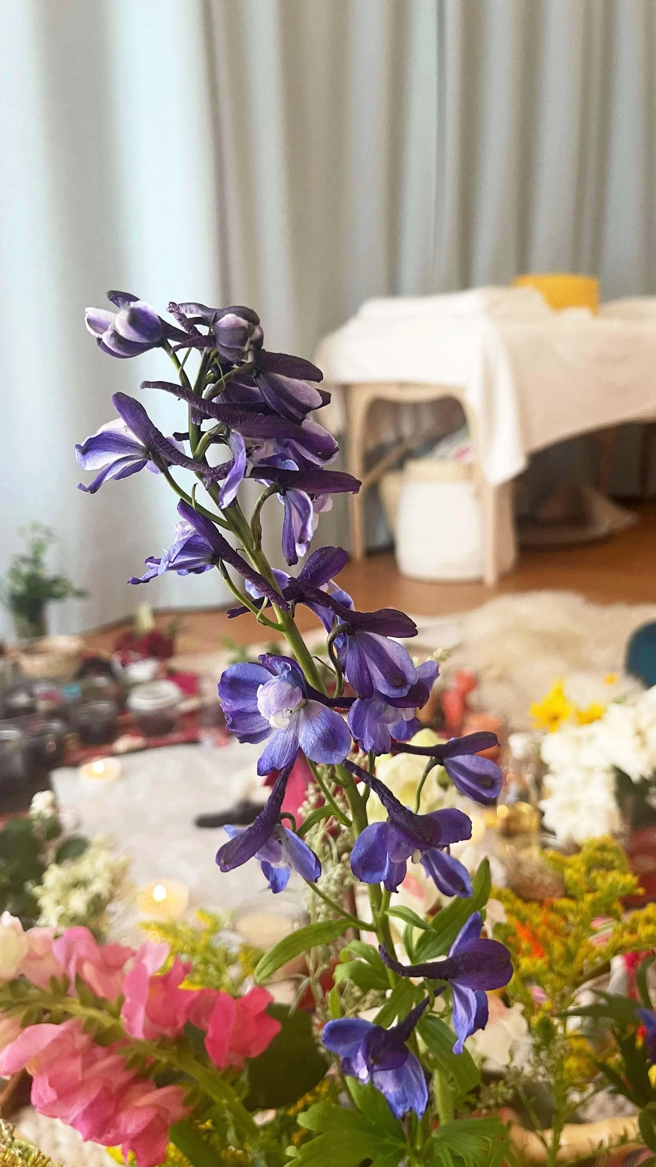 Blumen in der Praxis von Birgit Gentis mit Blick auf den Praxisraum im Hintergrund.