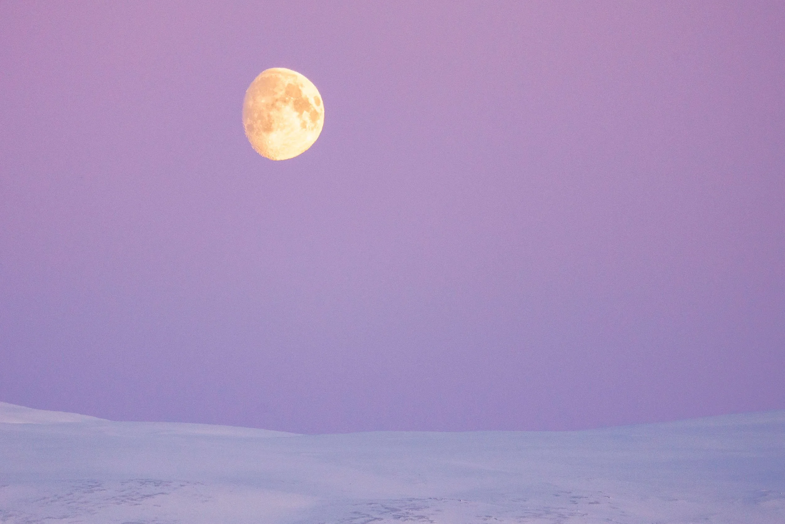 Full moon in a bright pink sky