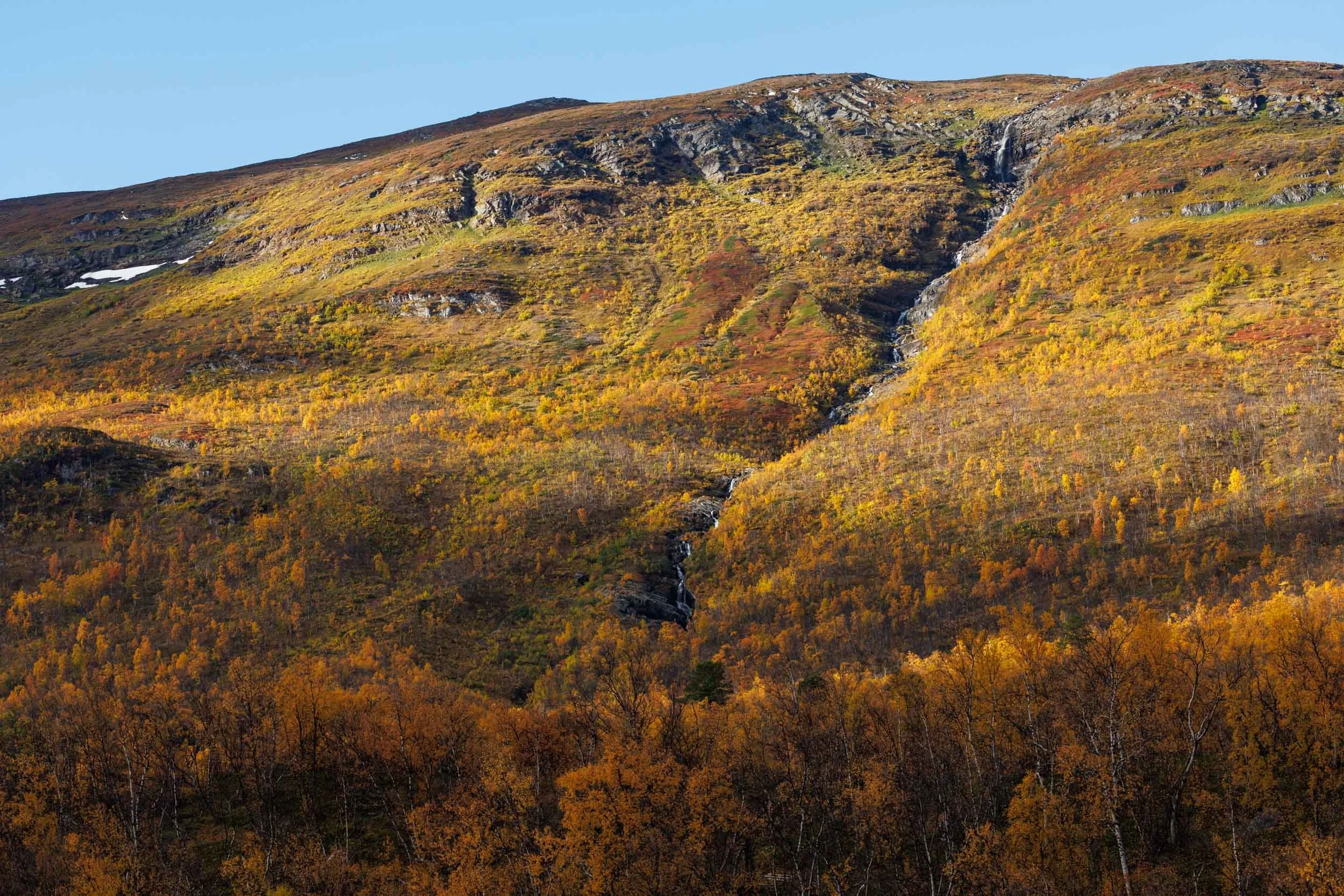 fall-colours-in-abisko-natiomal-park.jpg